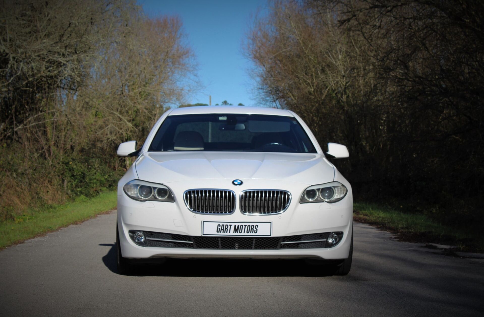 BMW Serie-5 530 d Auto