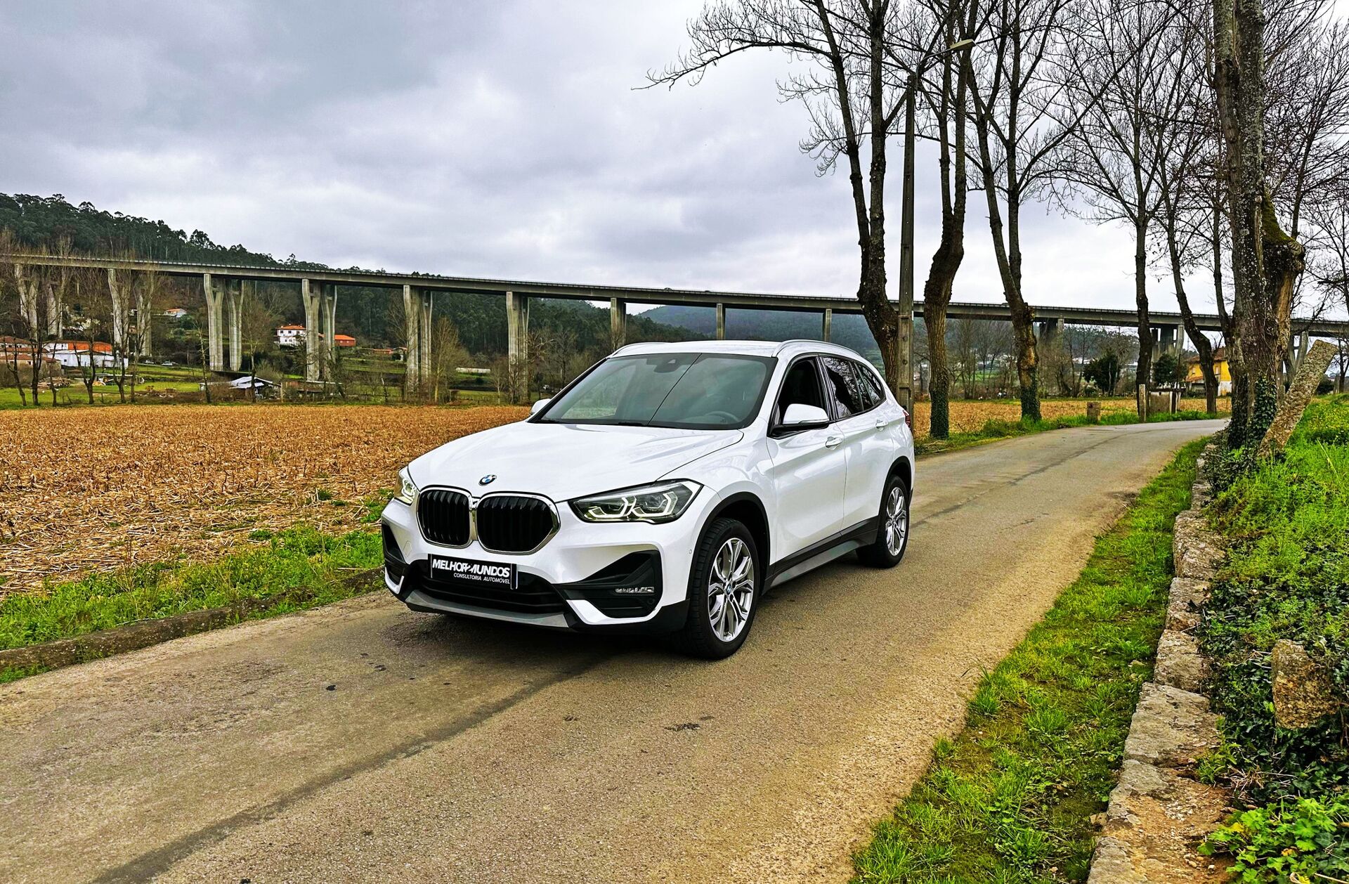 BMW X1 16 d sDrive Auto