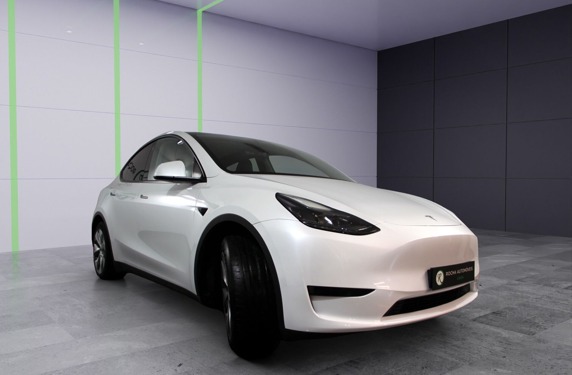 TESLA Model Y Long Range Tração Integral