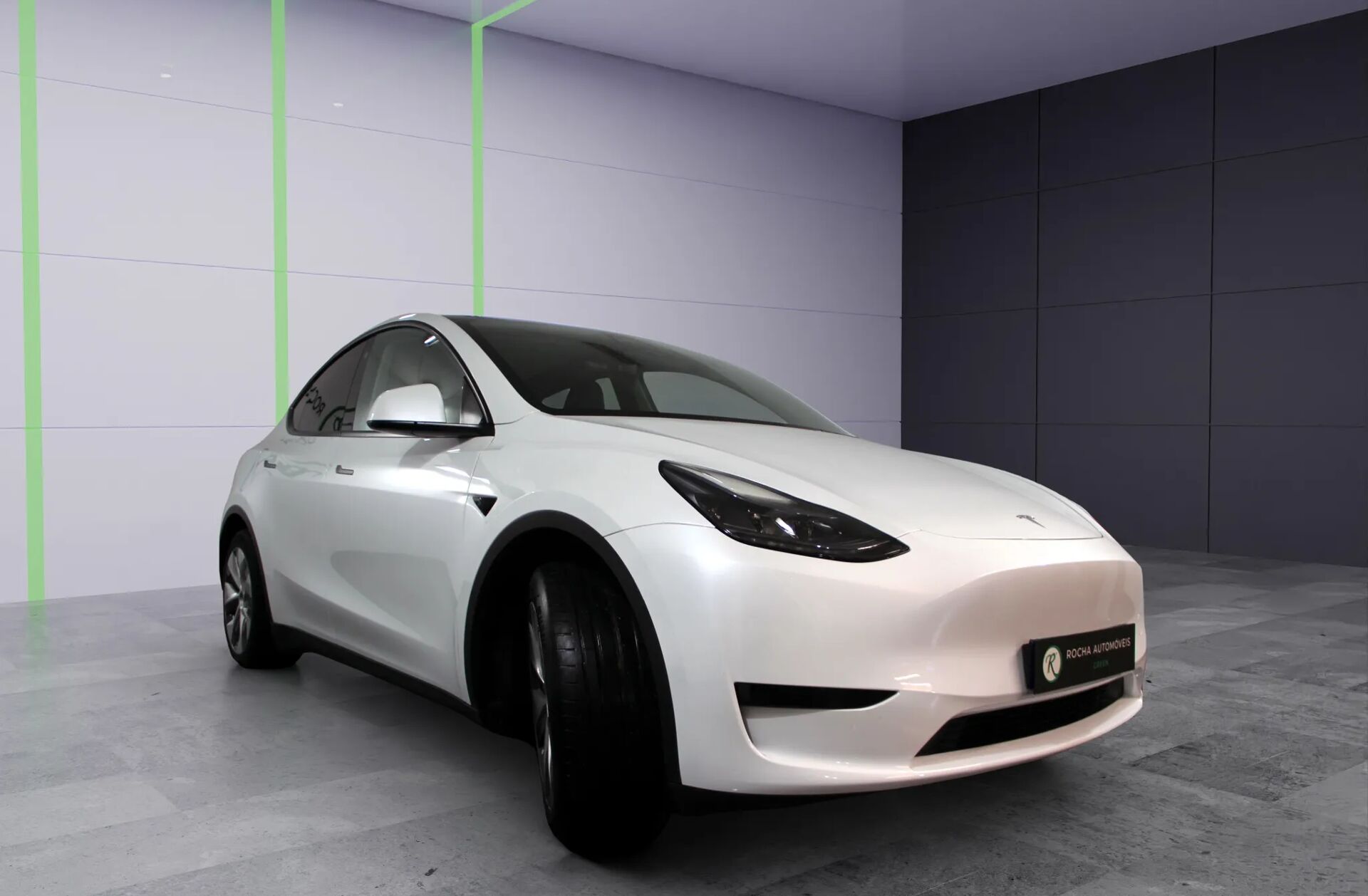 TESLA Model Y Long Range Tração Integral