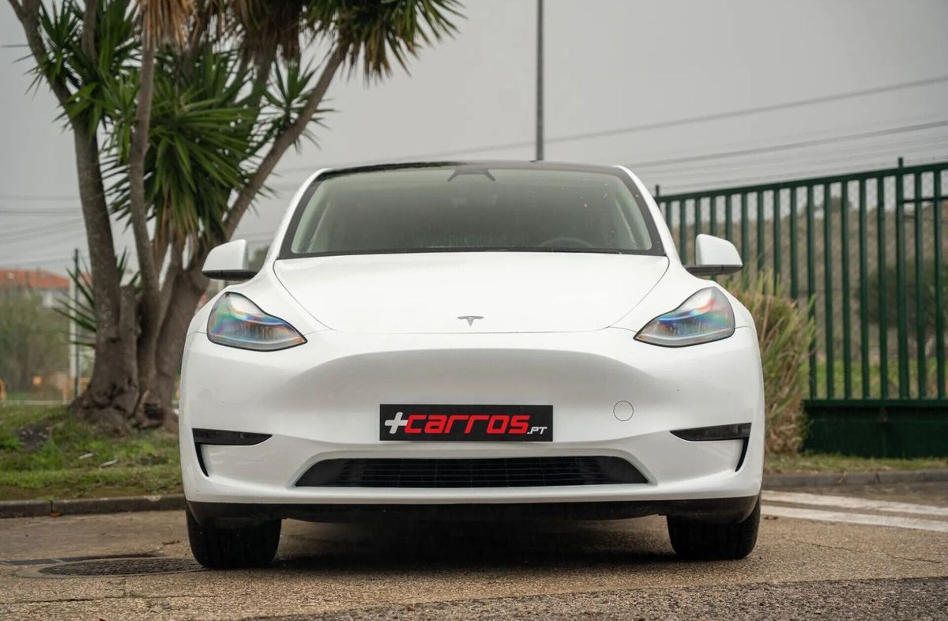 TESLA Model Y Tração Traseira