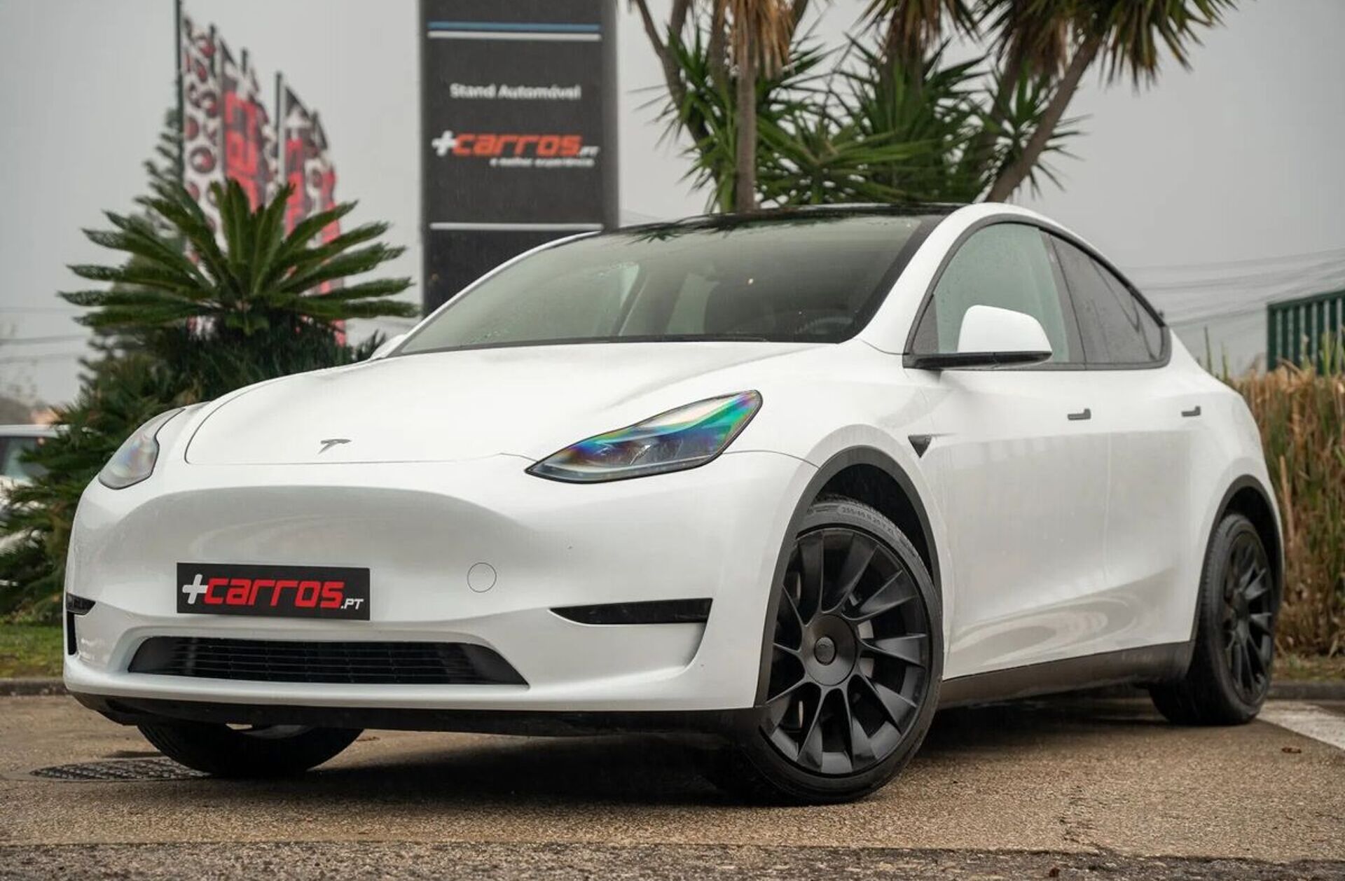 TESLA Model Y Tração Traseira