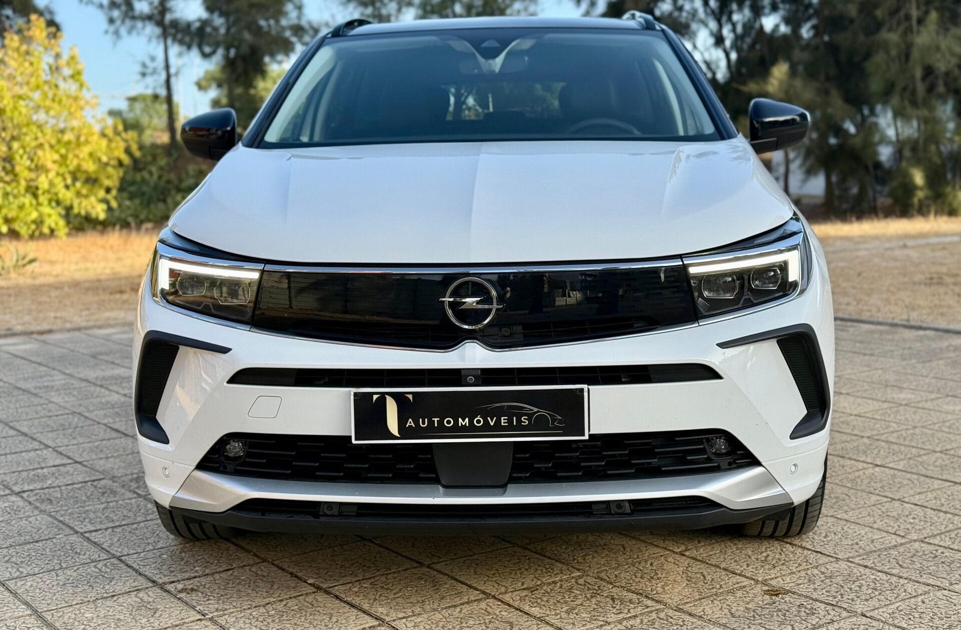 OPEL Grandland 1.6 T PHEV GS