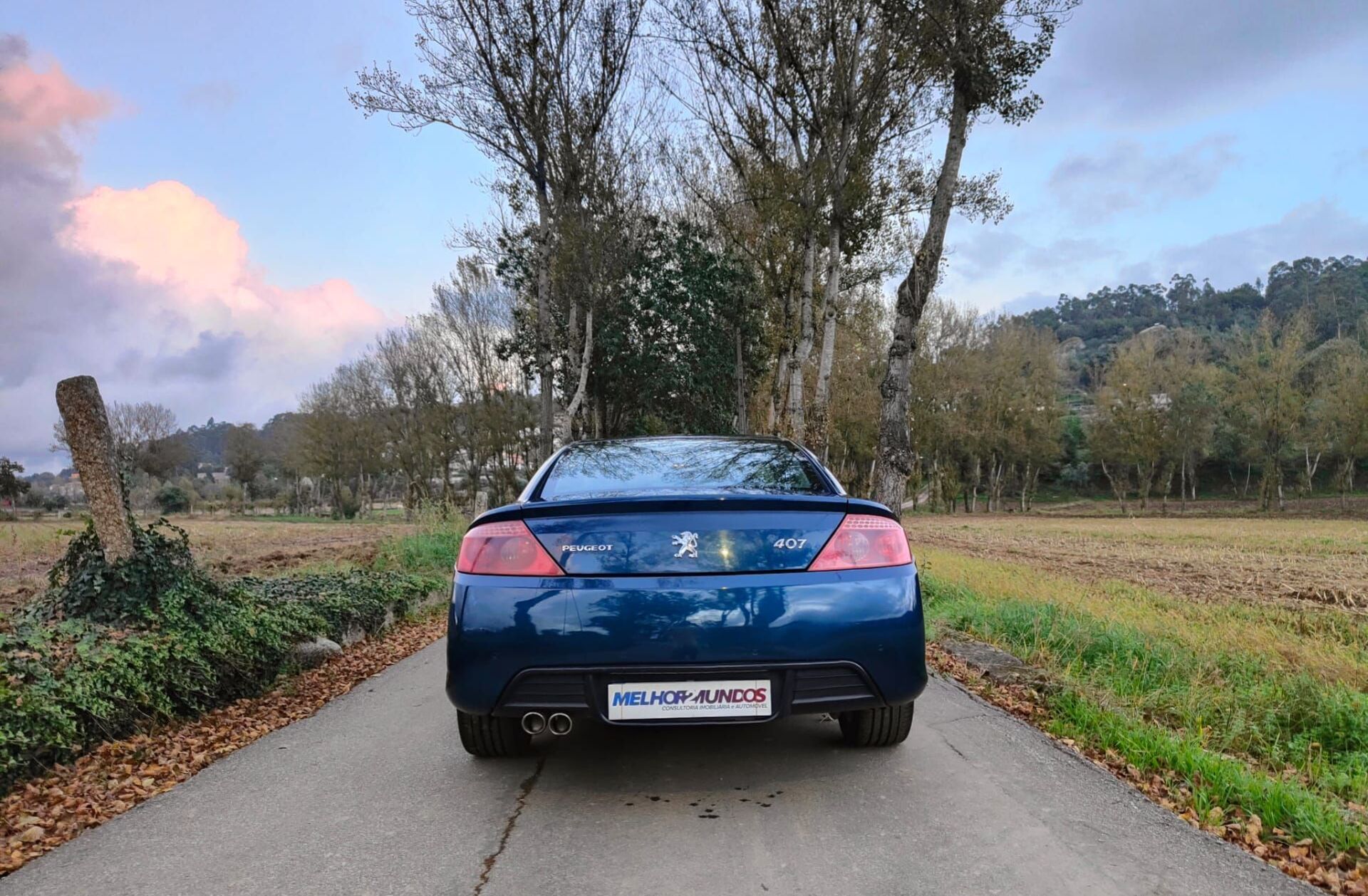 PEUGEOT 407 Coupé 2.7 HDi V6 AM6
