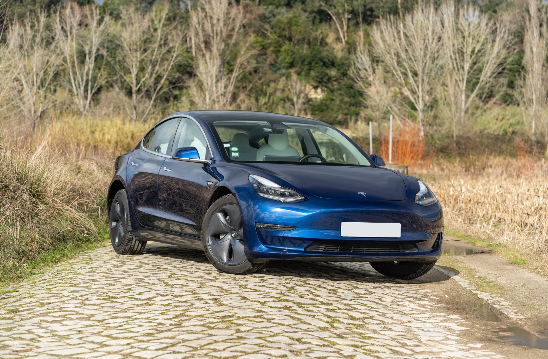 TESLA Model 3 Performance Dual Motor AWD