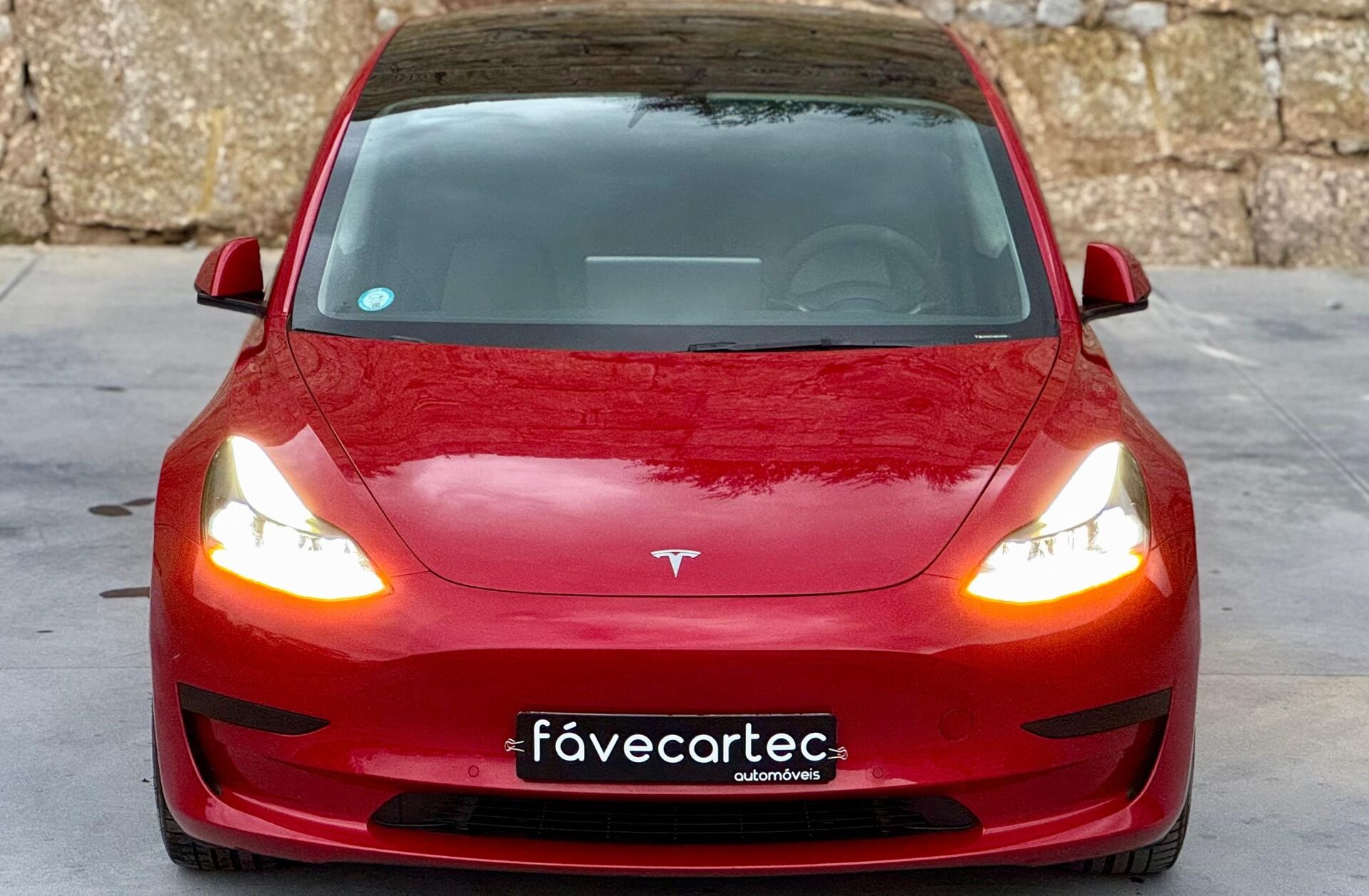 TESLA Model 3 Standard Range Plus RWD