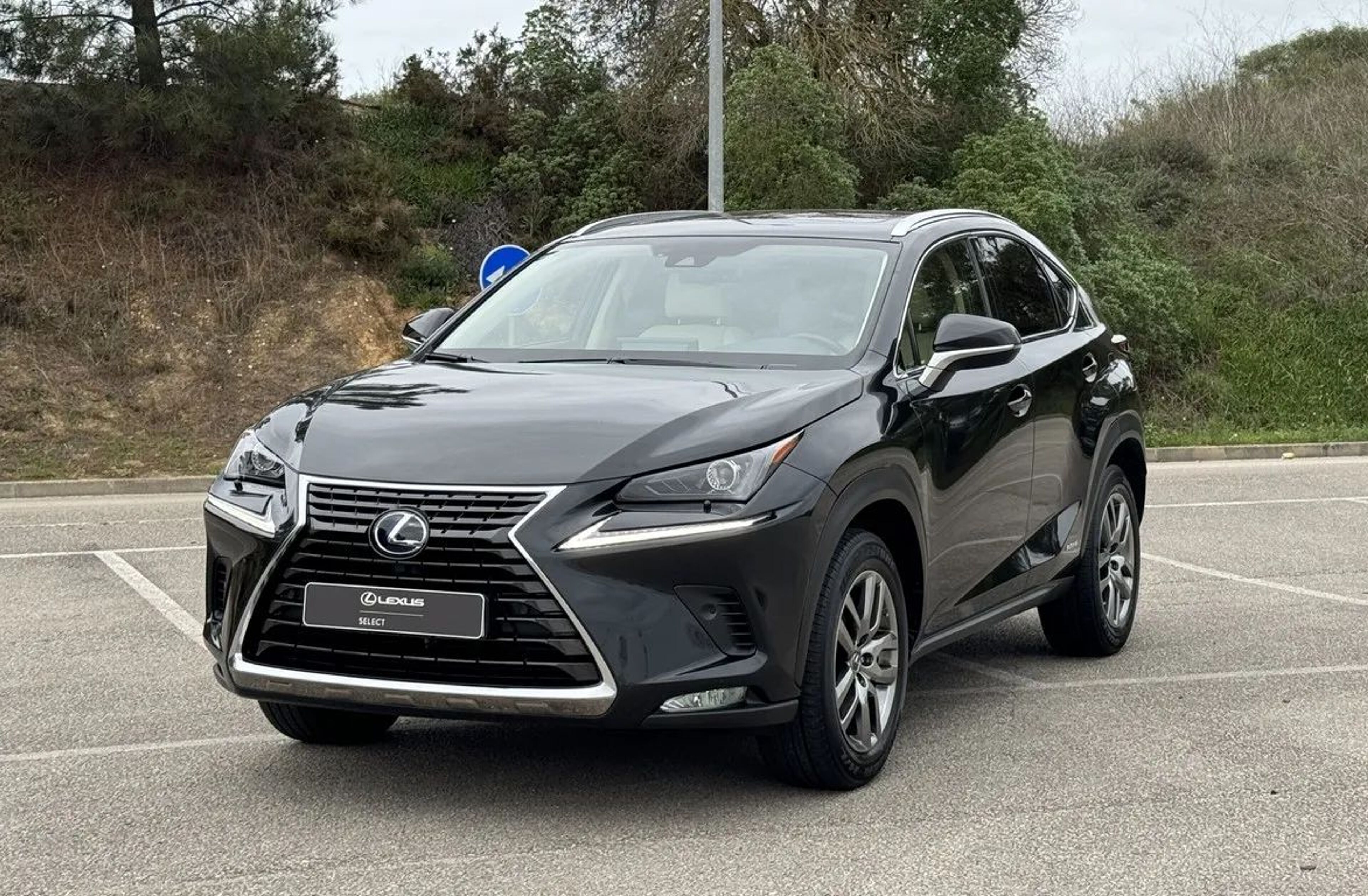 LEXUS NX NX 300h Executive+ + TAE