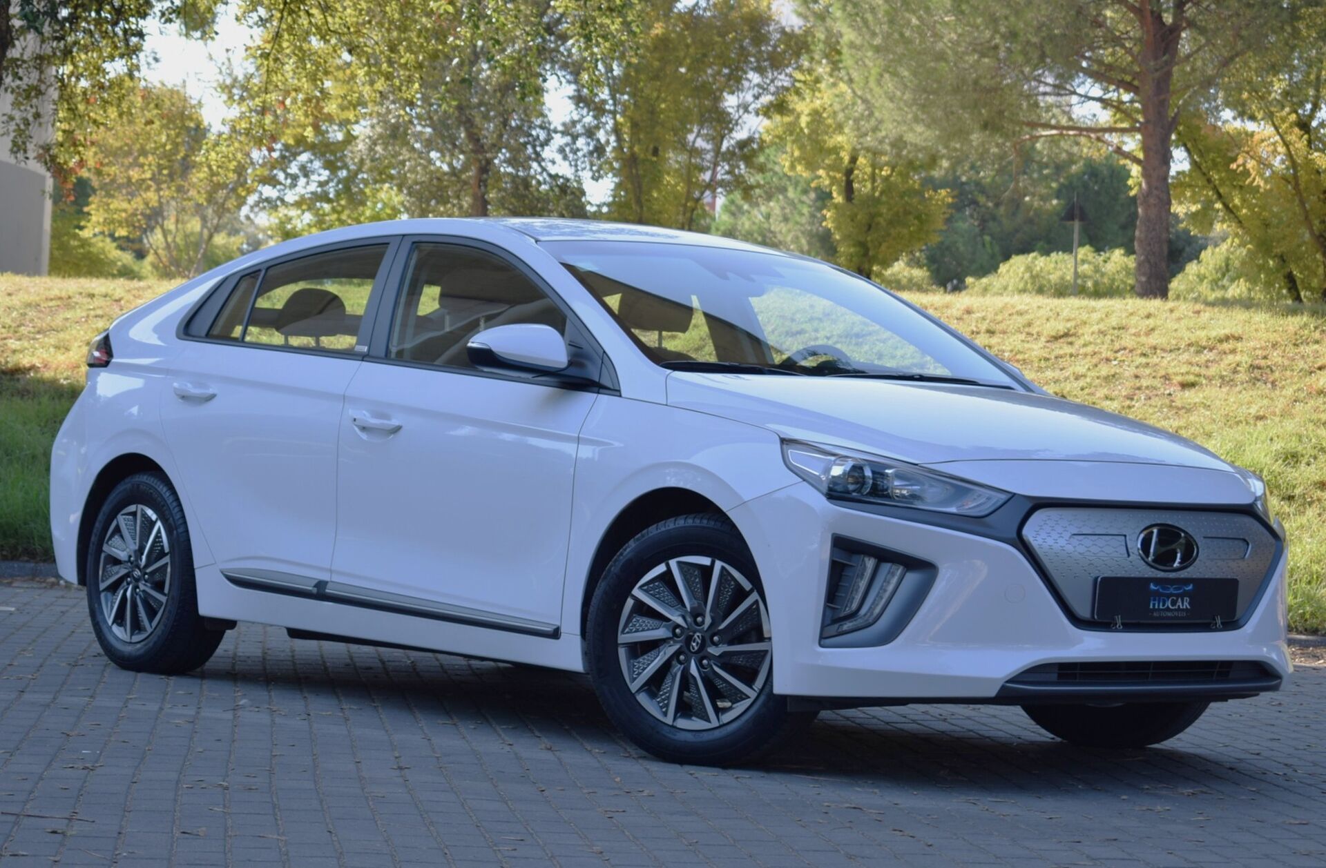 HYUNDAI Ioniq EV 38kWh