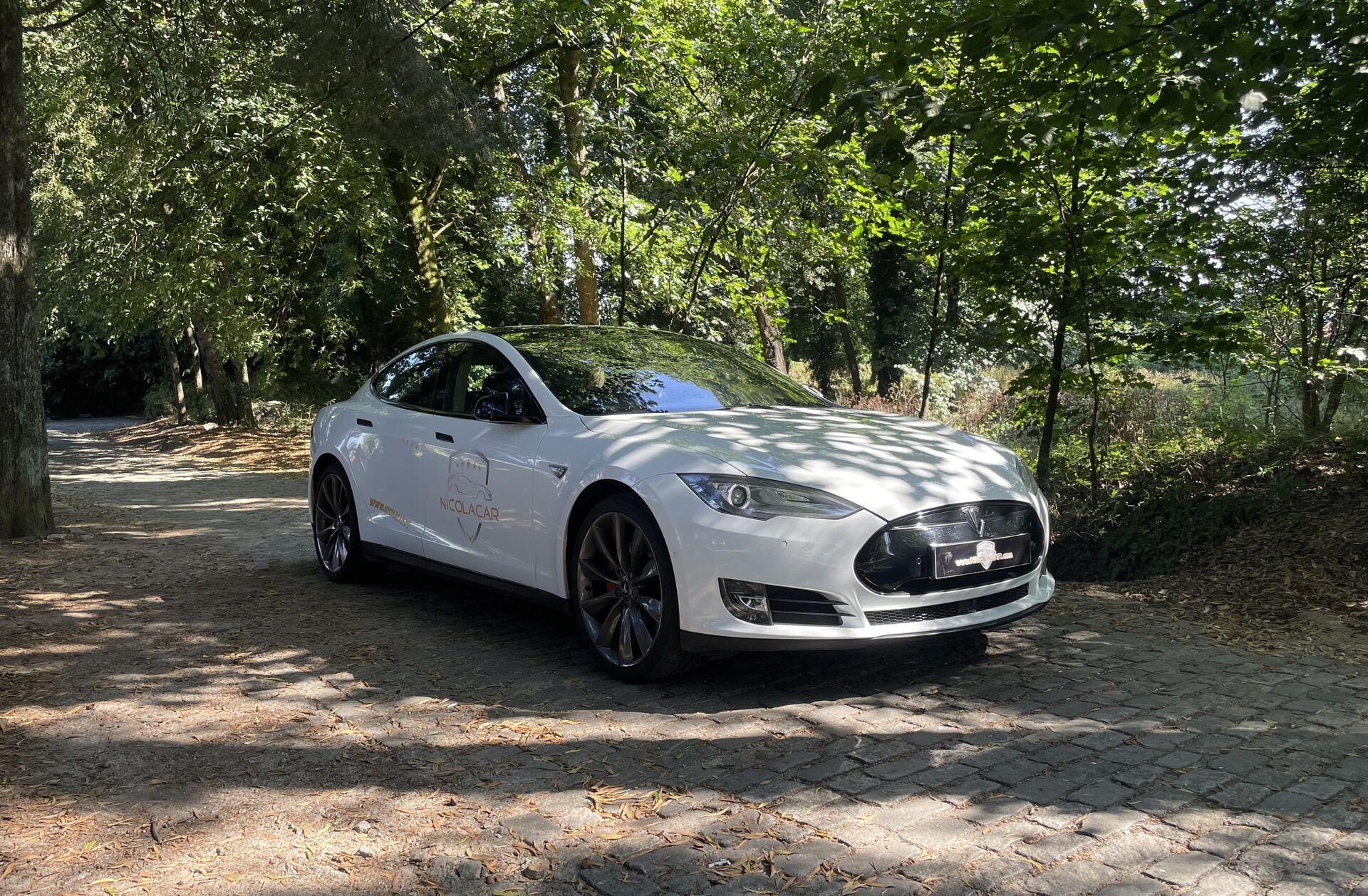 TESLA Model S 90D