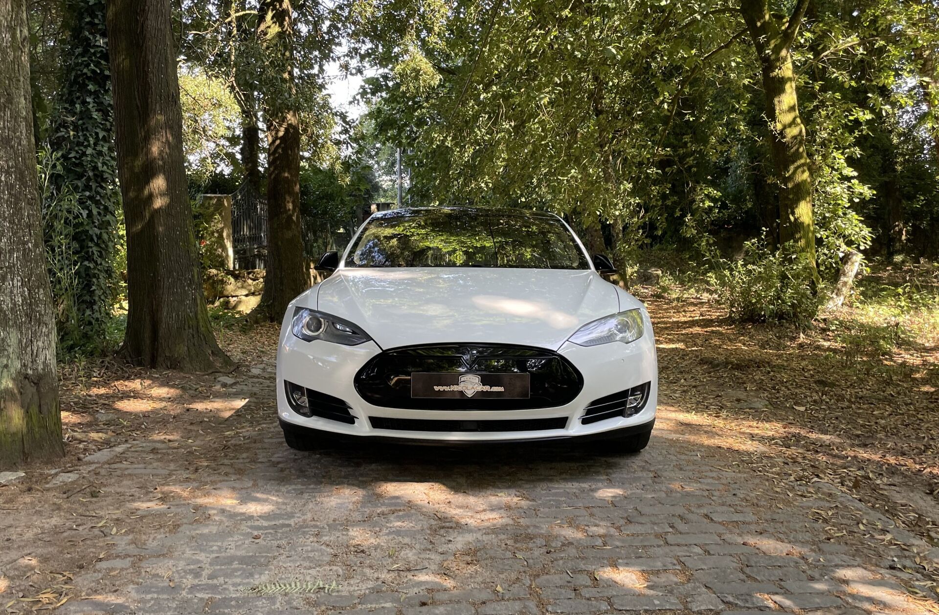 TESLA Model S 90D