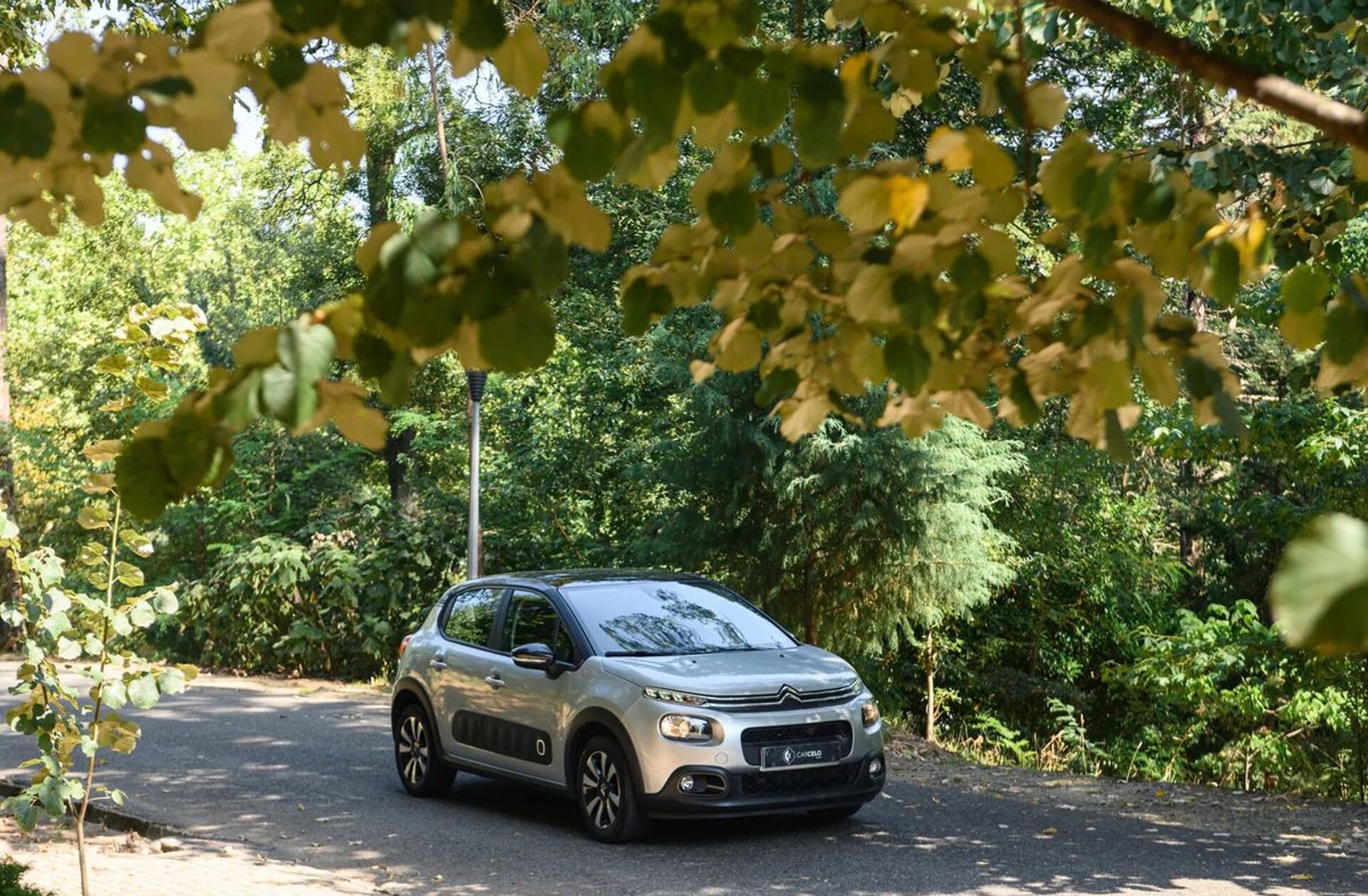 CITROEN C3 1.2 PureTech Shine