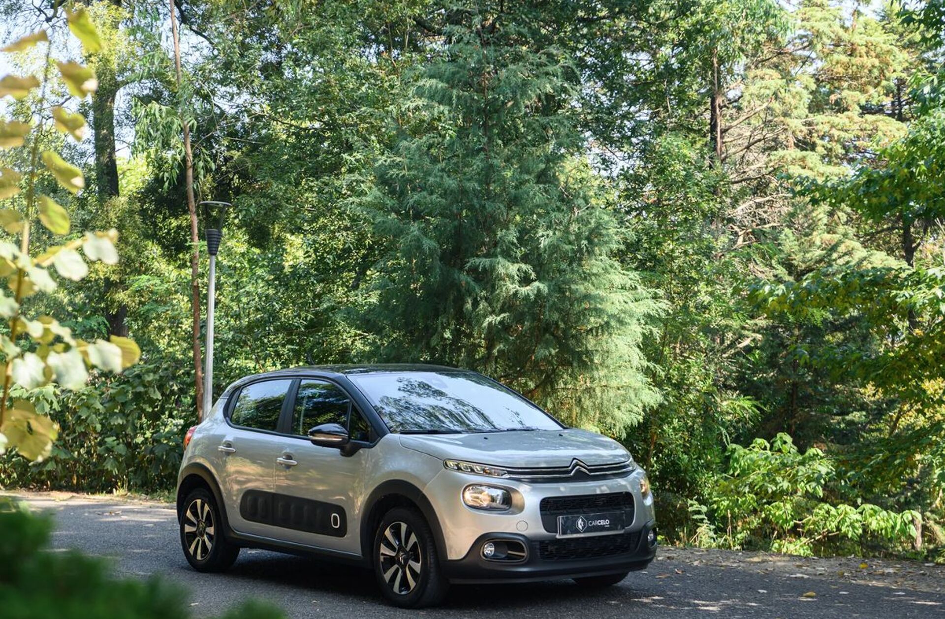 CITROEN C3 1.2 PureTech Shine