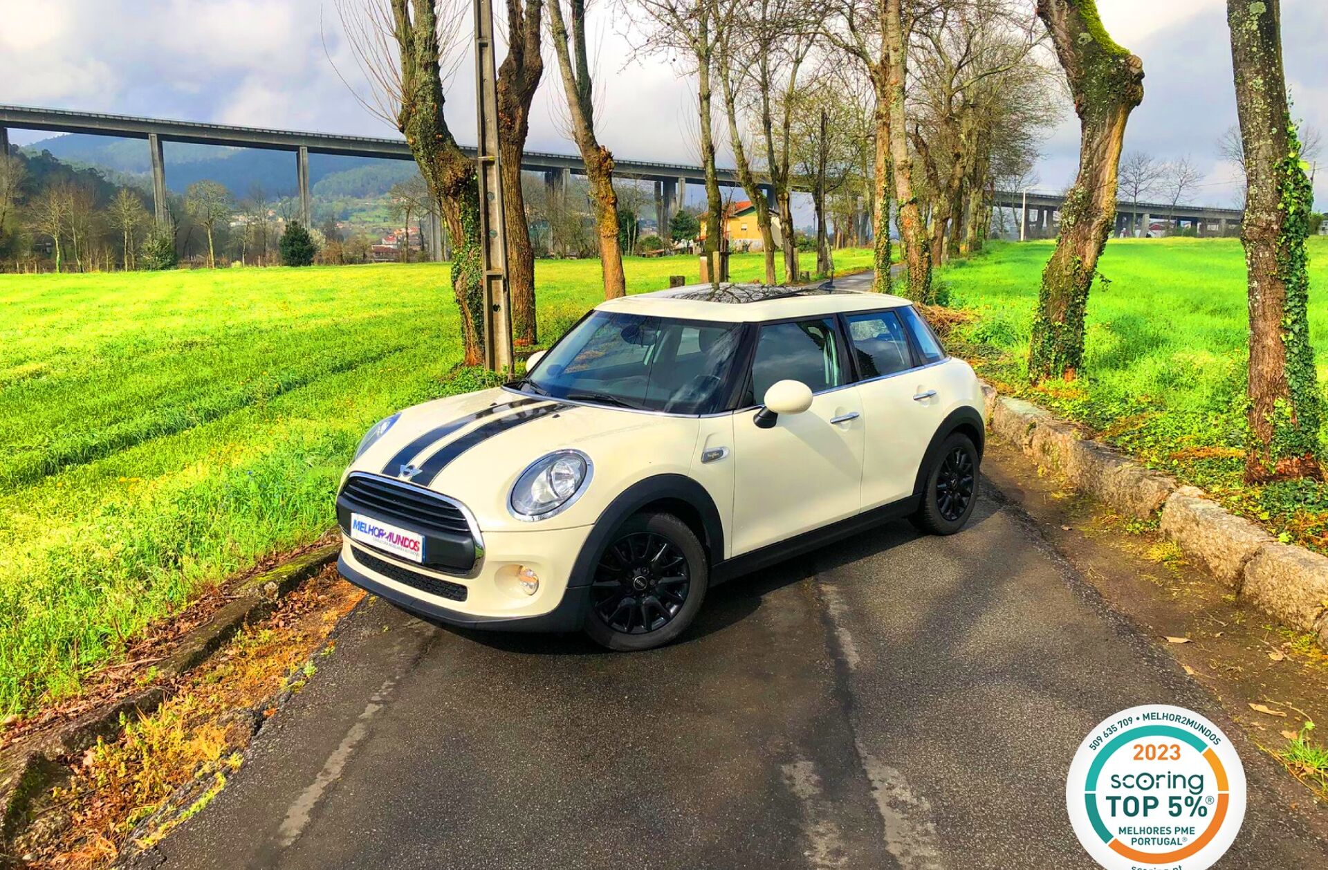 MINI Mini D