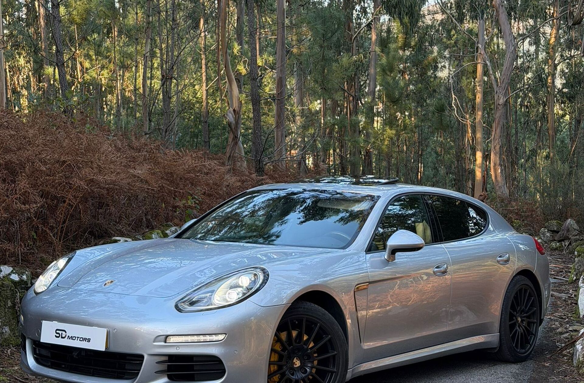 PORSCHE Panamera Platinum Edition