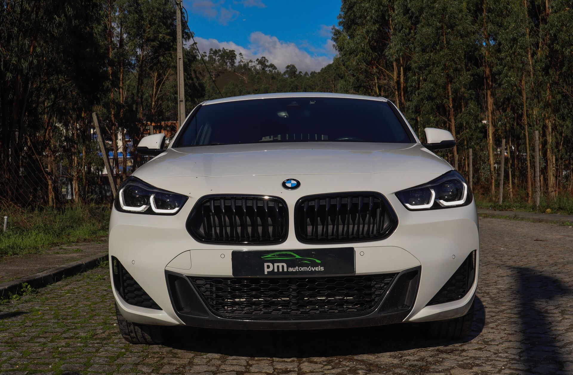 BMW X2 25 e xDrive Pack M