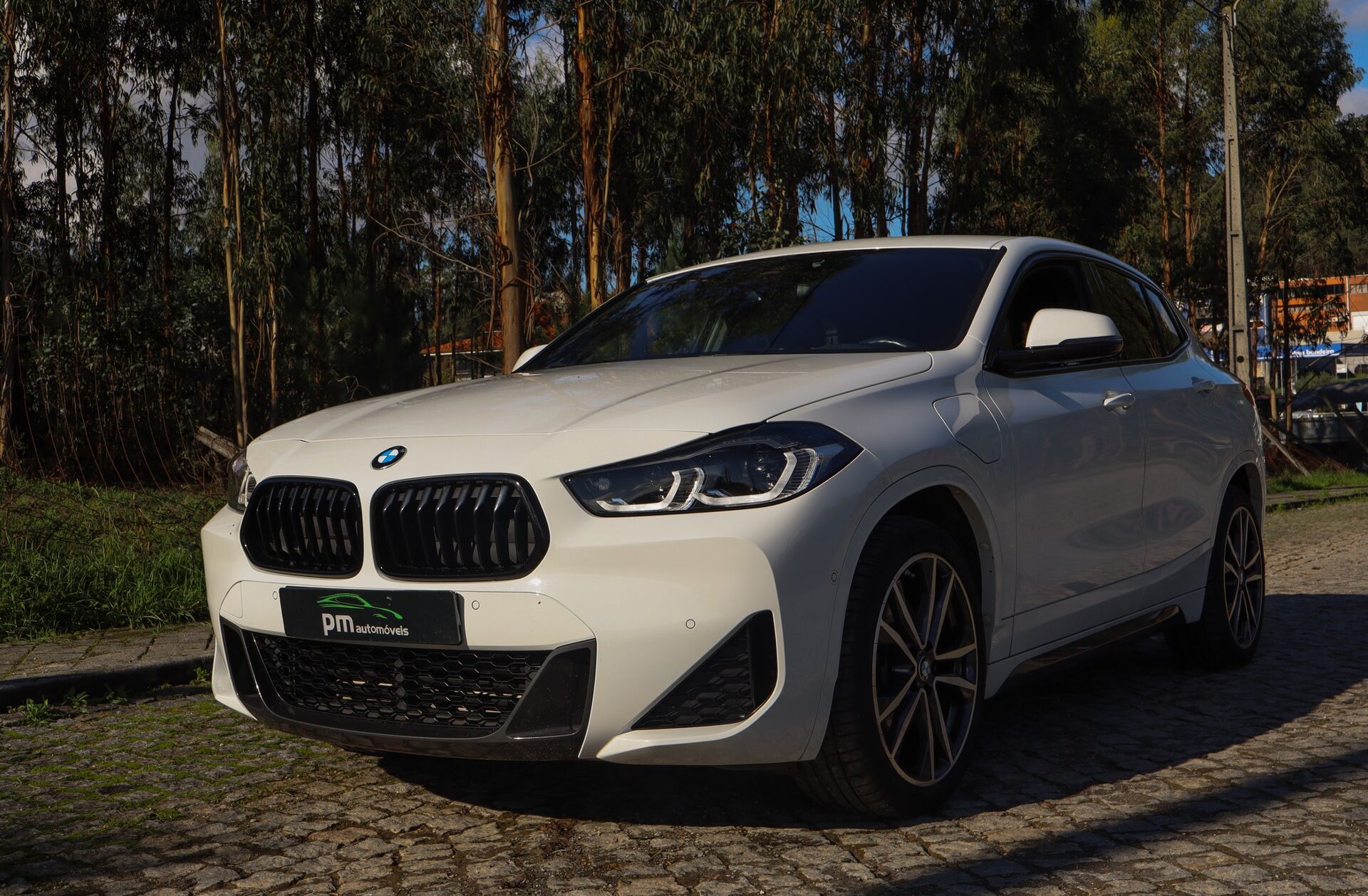 BMW X2 25 e xDrive Pack M
