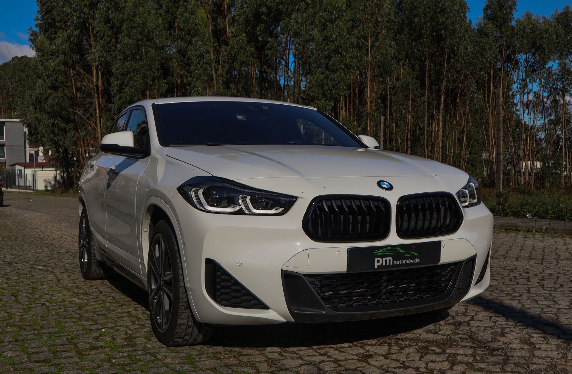BMW X2 25 e xDrive Pack M