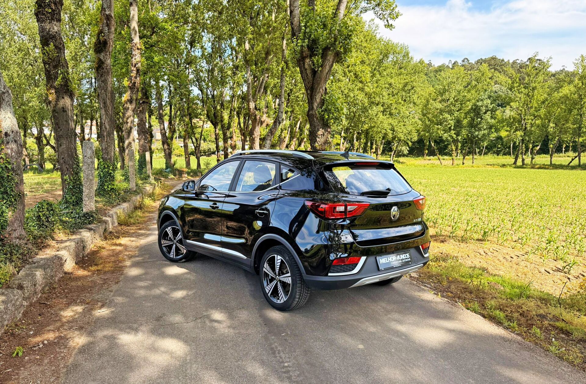 MG ZS 44.5 kWh Luxury