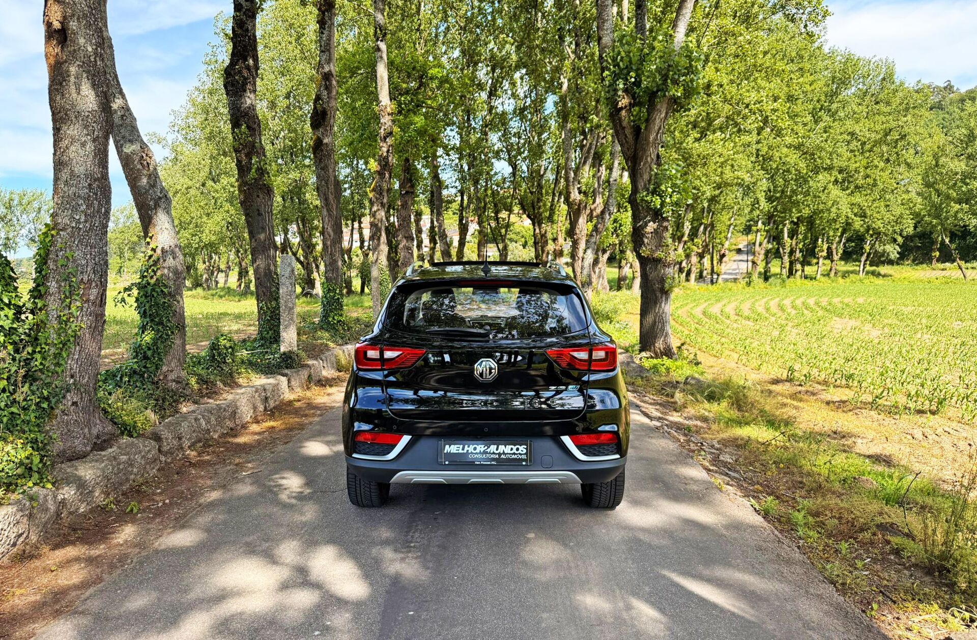 MG ZS 44.5 kWh Luxury