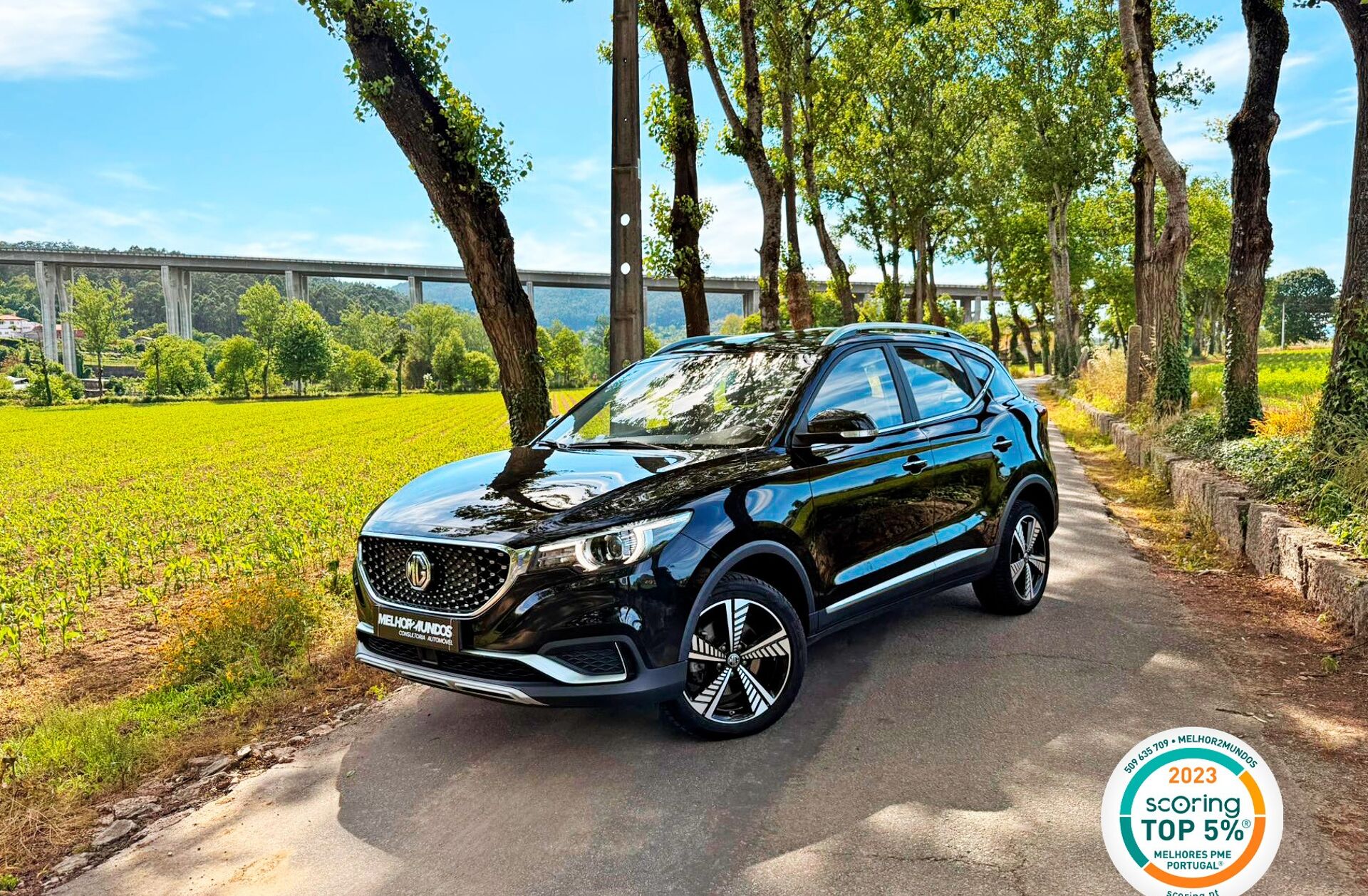 MG ZS 44.5 kWh Luxury