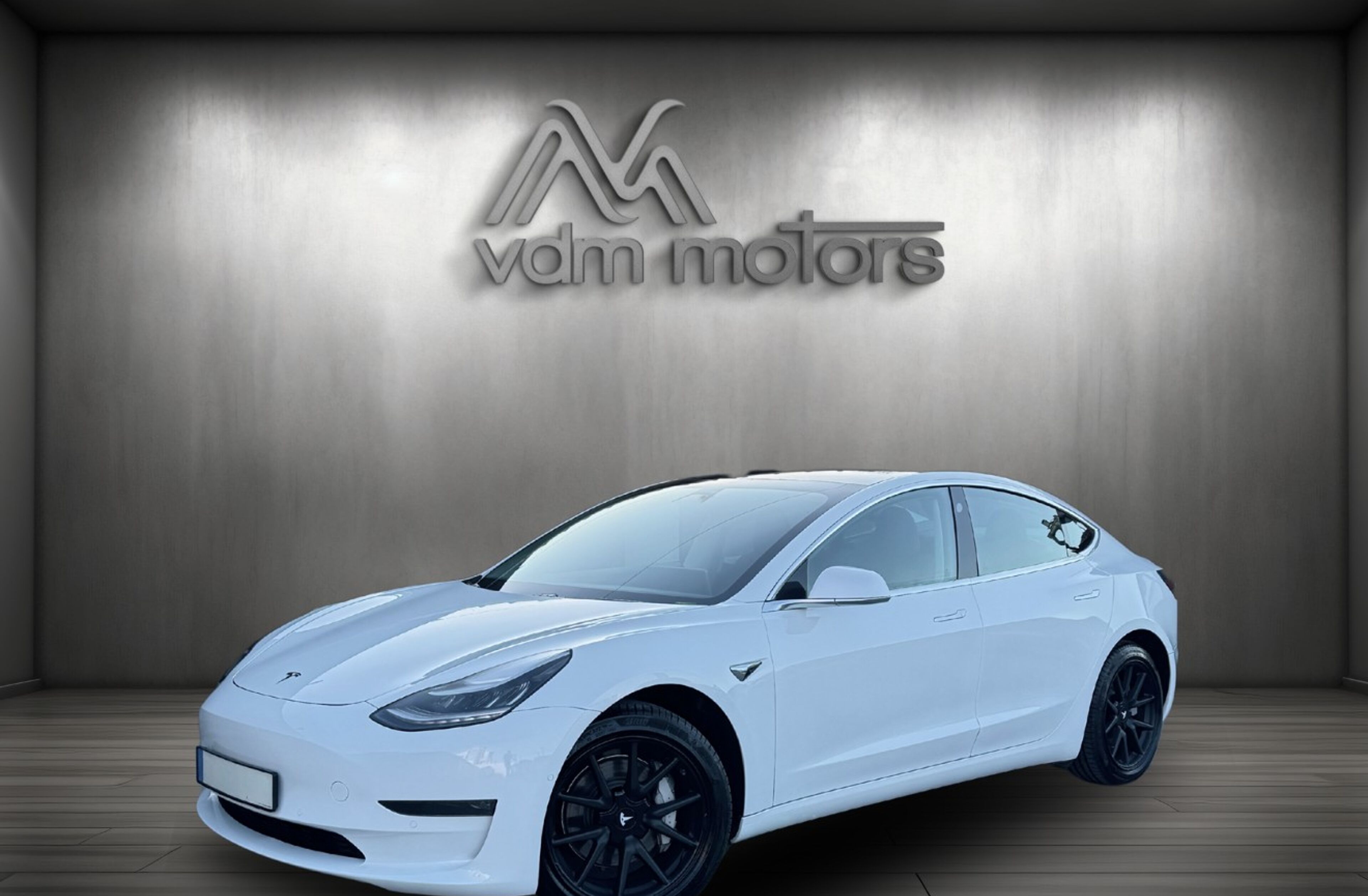 TESLA Model 3 Long-Range Dual Motor AWD