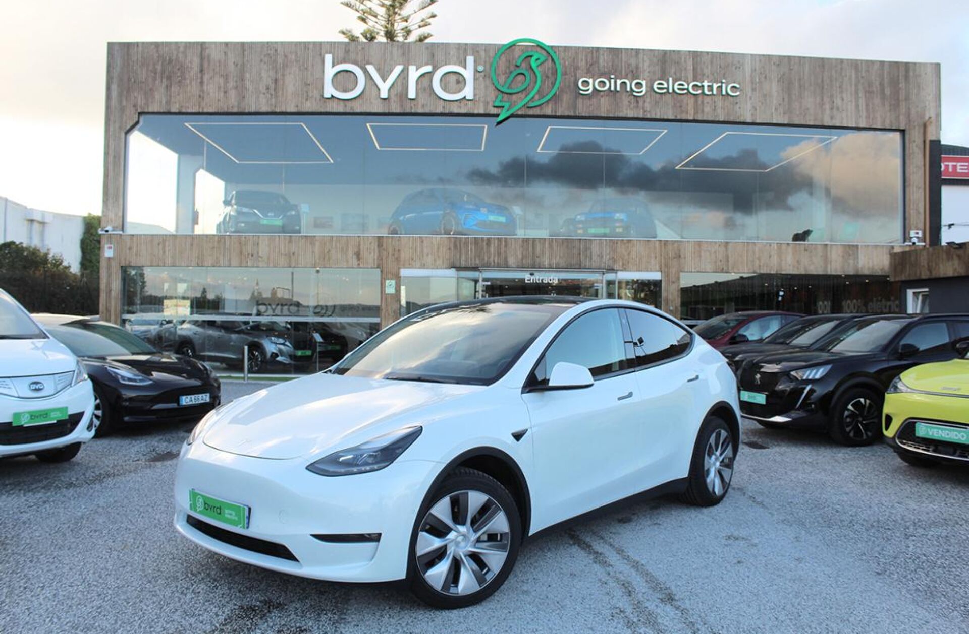 TESLA Model Y Long Range Tração Integral