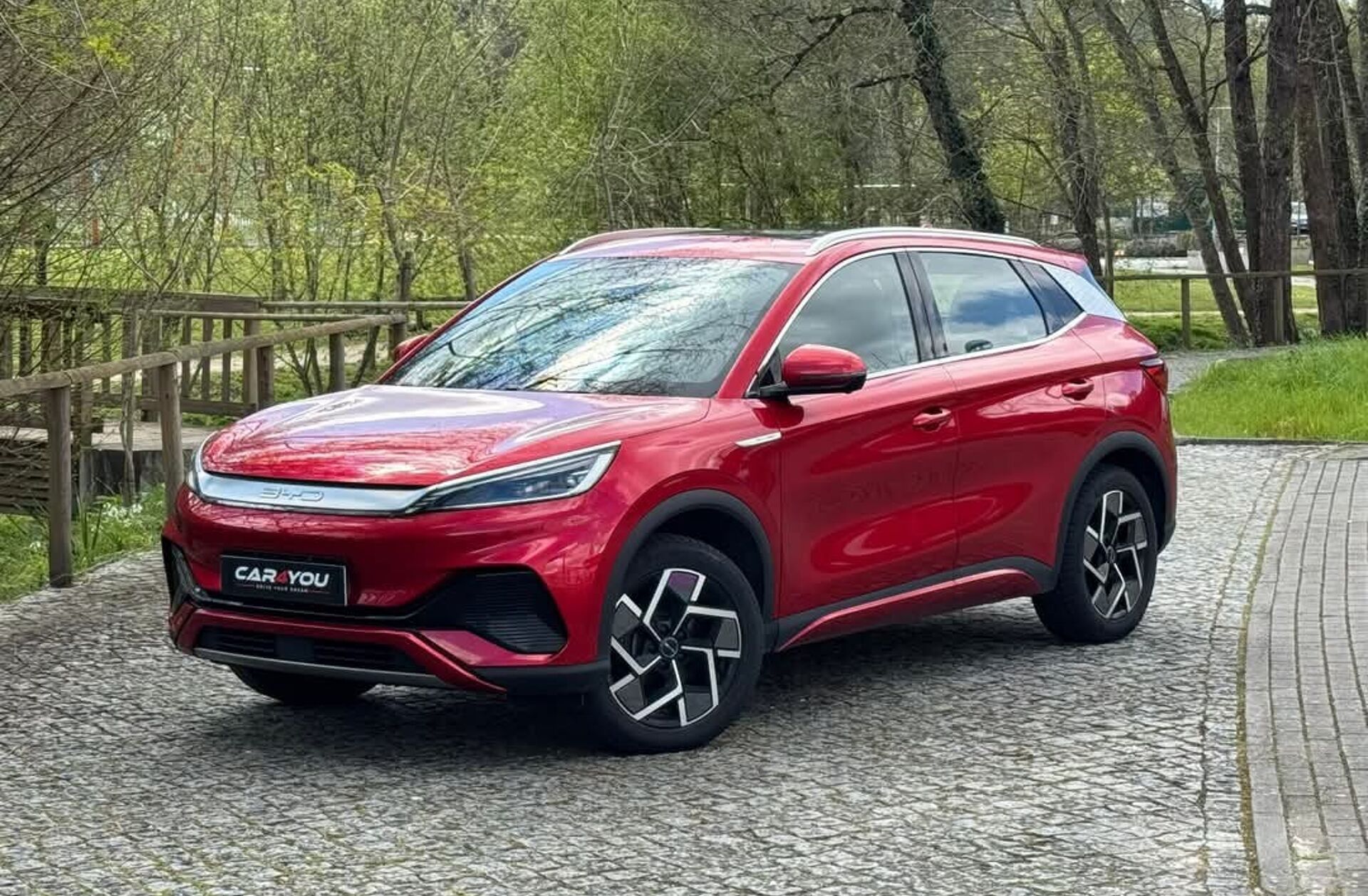 BYD Atto 60.48 kWh Design