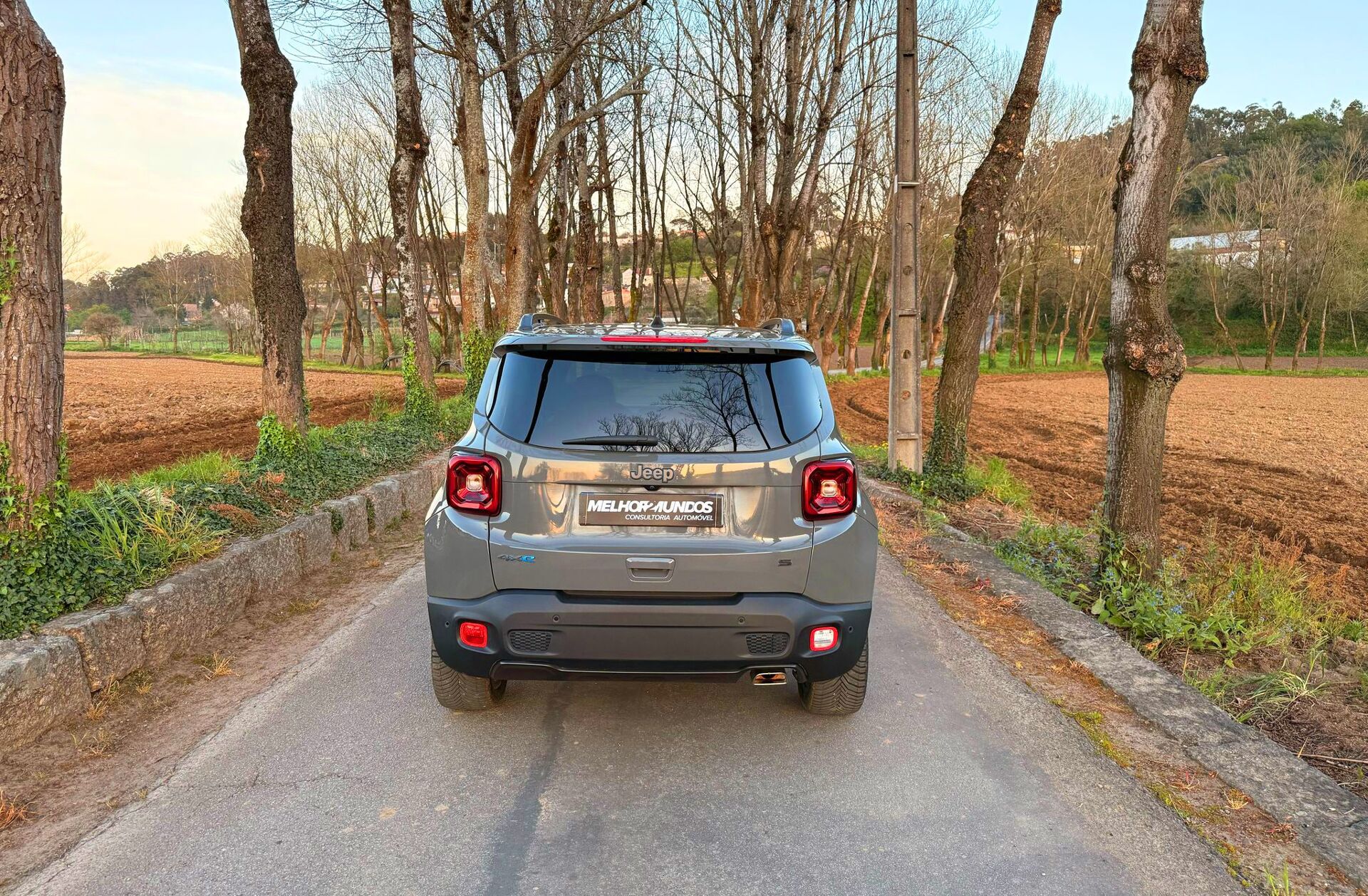 JEEP Renegade 1.3 TG 4Xe Limited