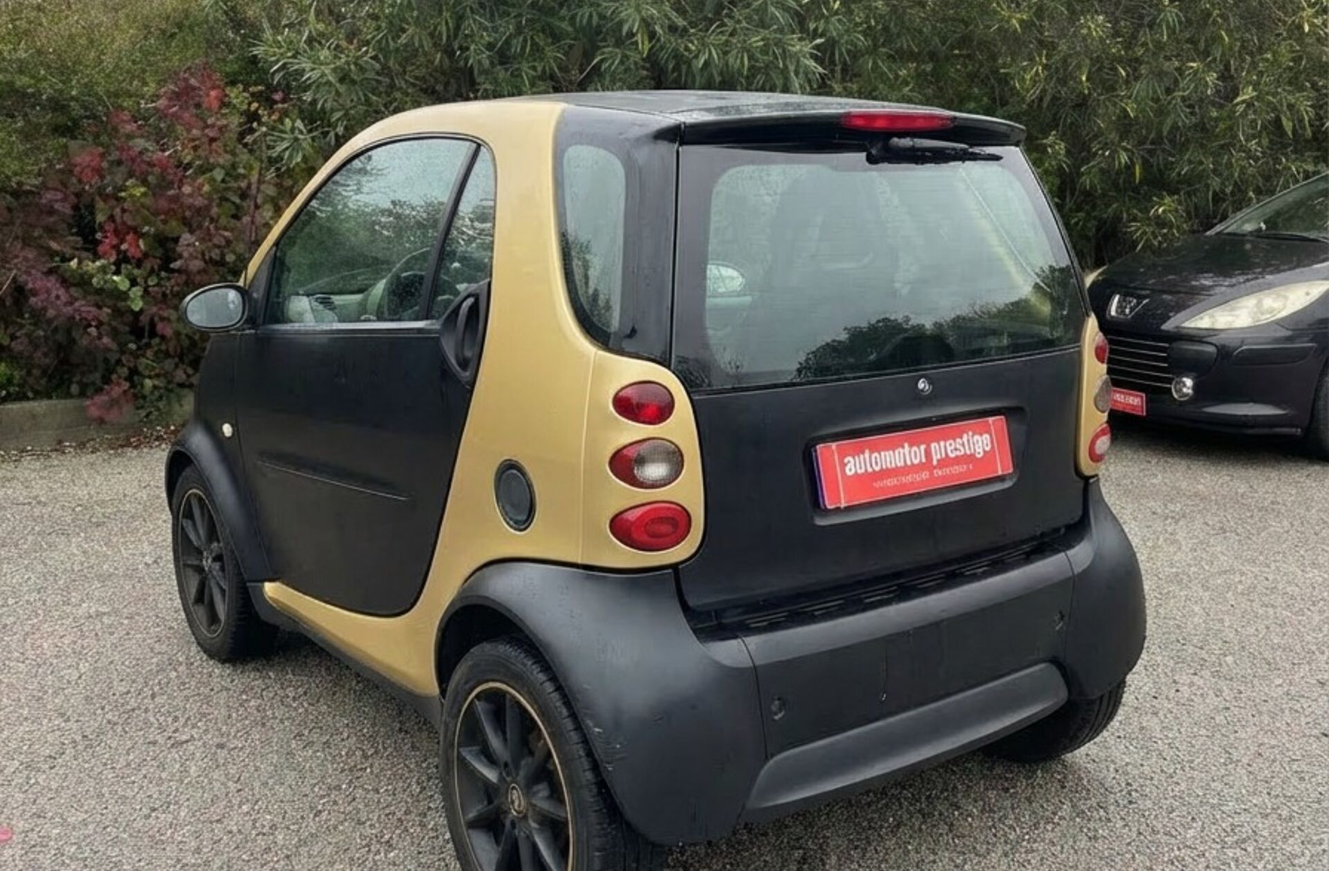 SMART City Smart & Pure 55