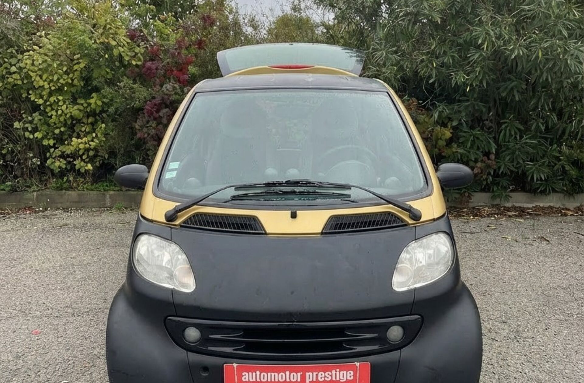 SMART City Smart & Pure 55