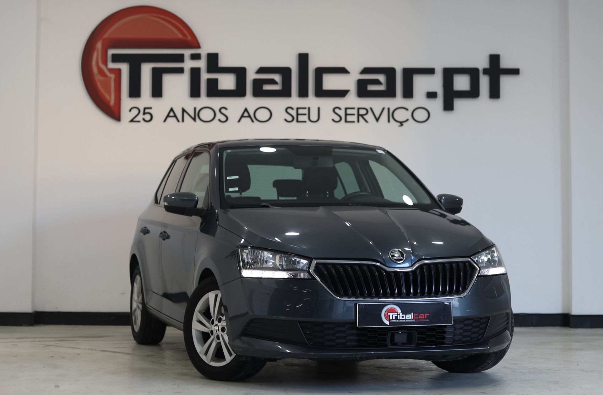 SKODA Fabia 1.0 TSI Ambition