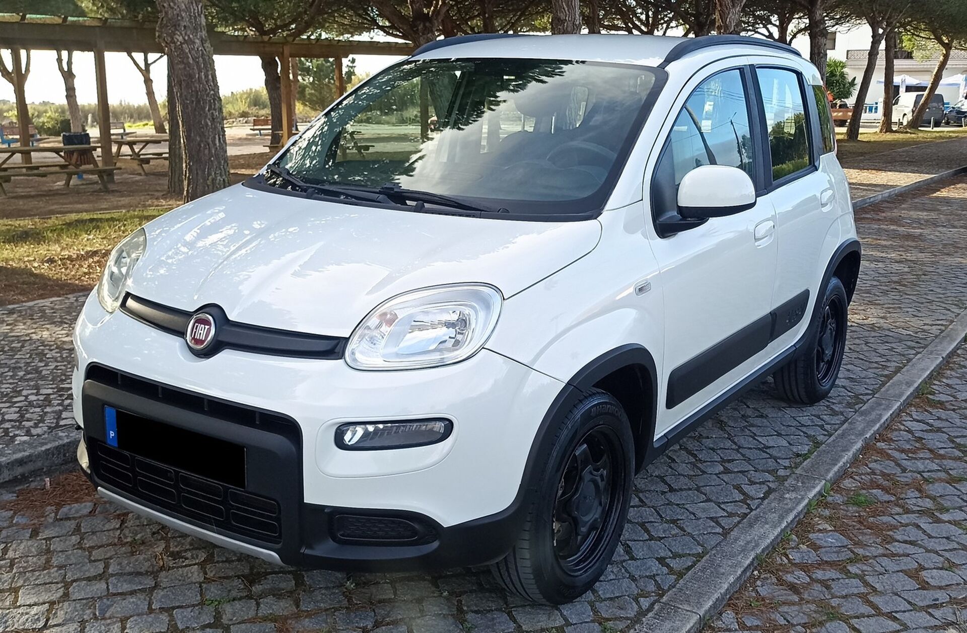FIAT Panda 0.9 8V TwinAir Cross 4x4 S&S