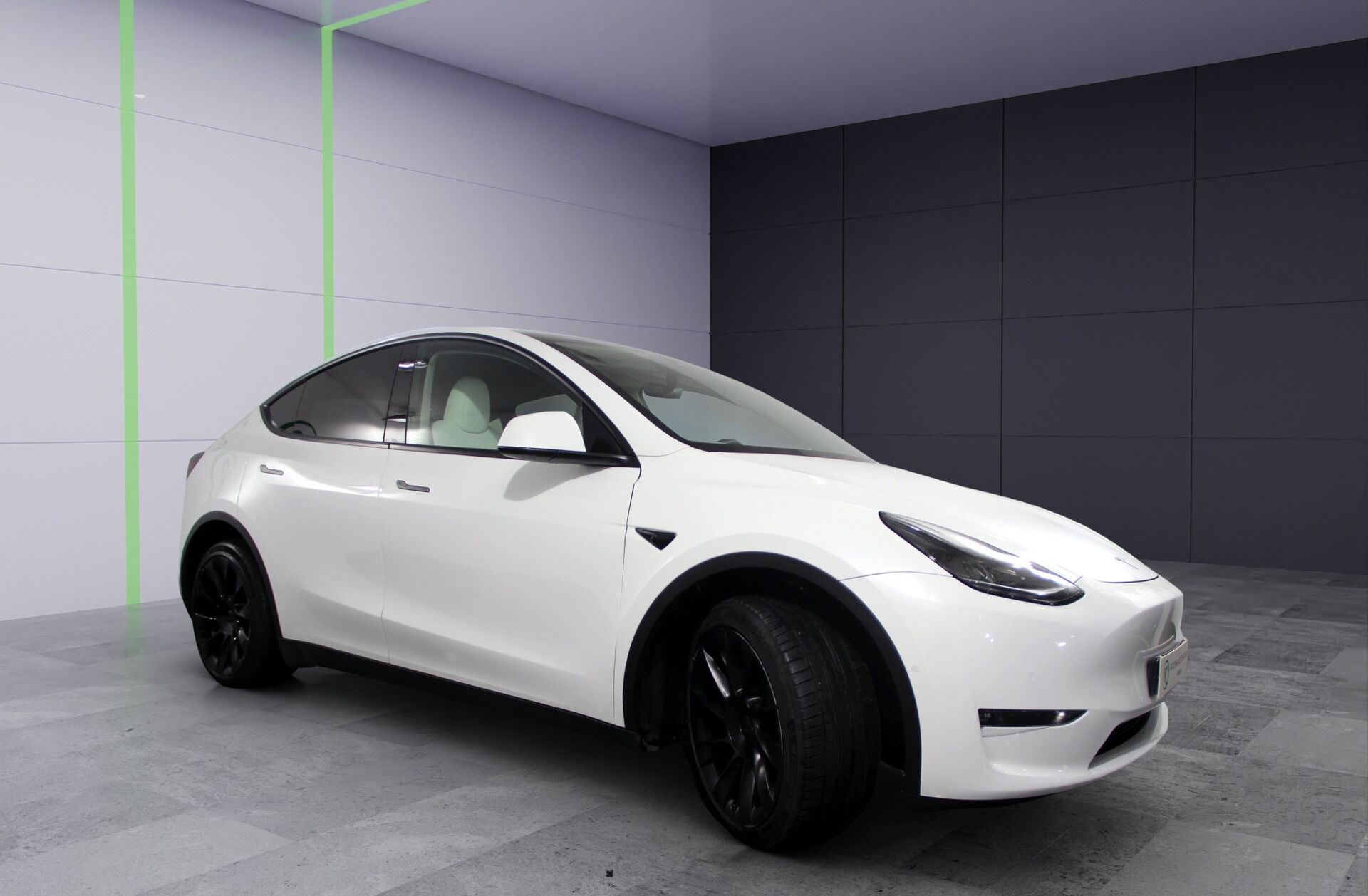 TESLA Model Y Long Range Tração Integral