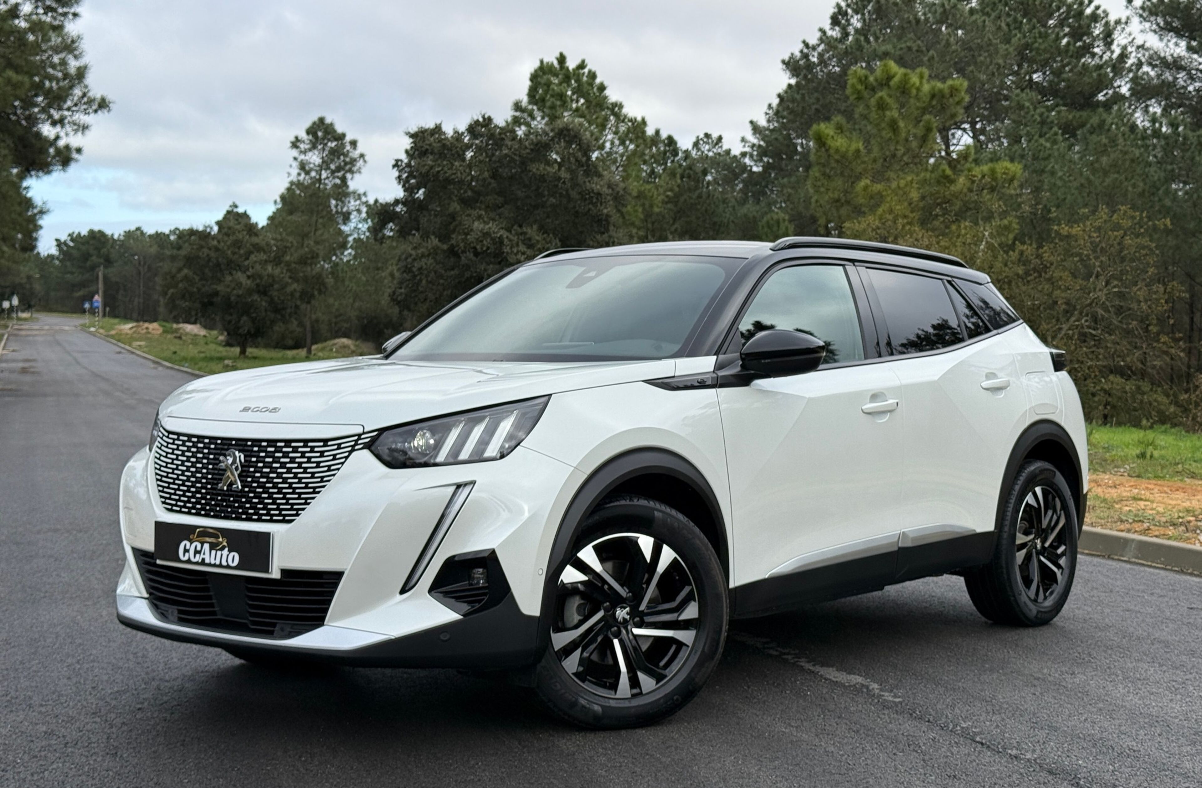 PEUGEOT 2008 50 kWh GT Line