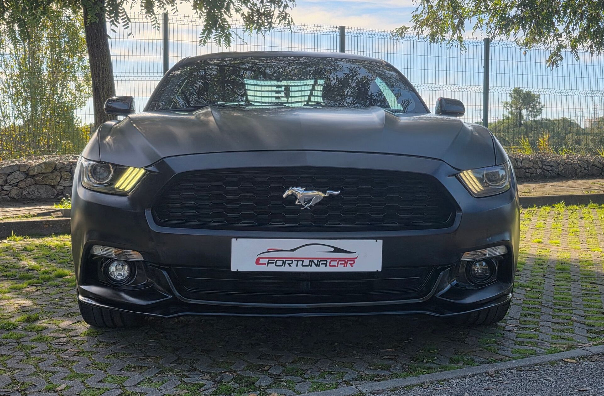 FORD Mustang 2.3i EcoBoost Aut.