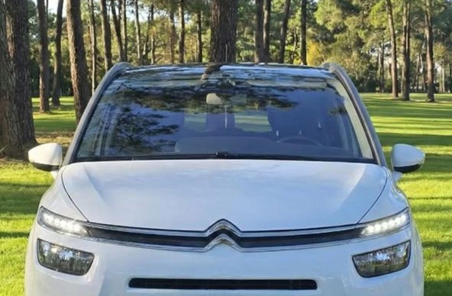 CITROEN C4 G.Pic.1.6 e-HDi Exclusive ETG6