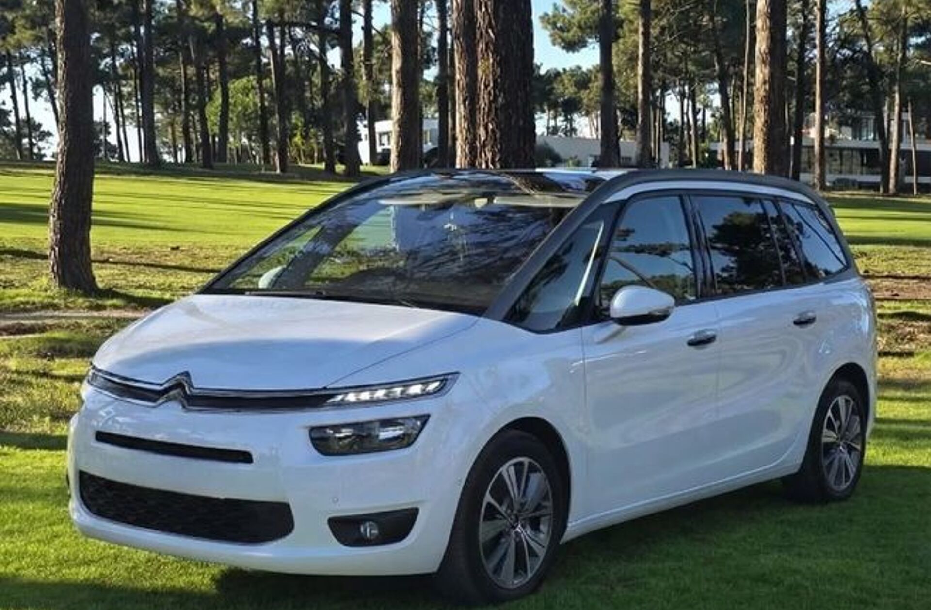 CITROEN C4 G.Pic.1.6 e-HDi Exclusive ETG6