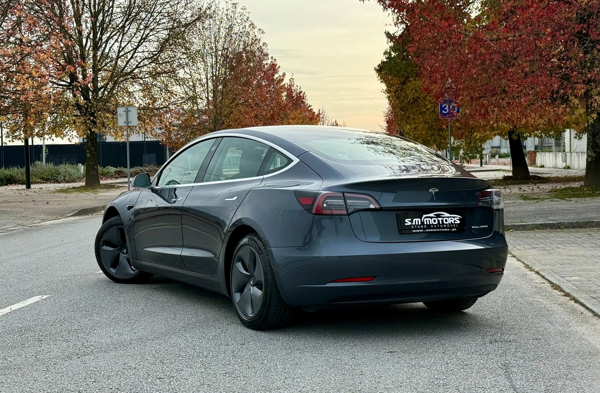 TESLA Model 3 Long-Range Dual Motor AWD