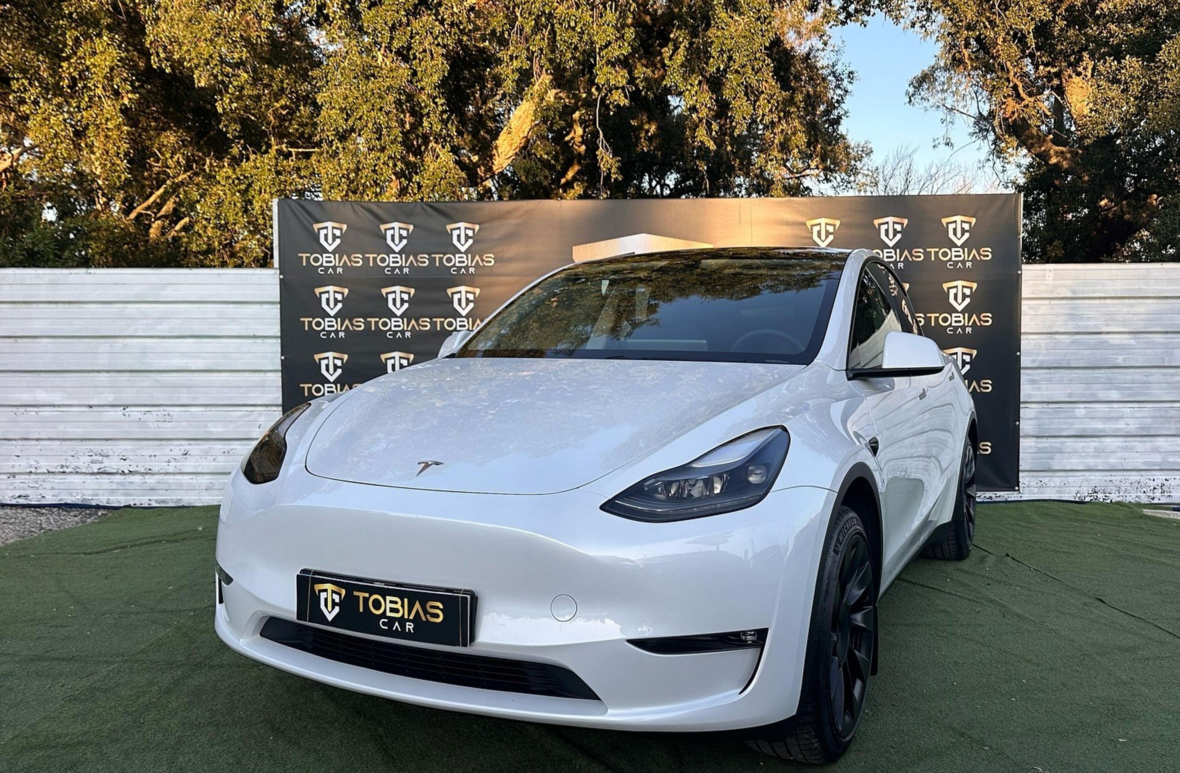 TESLA Model Y Long Range Tração Integral