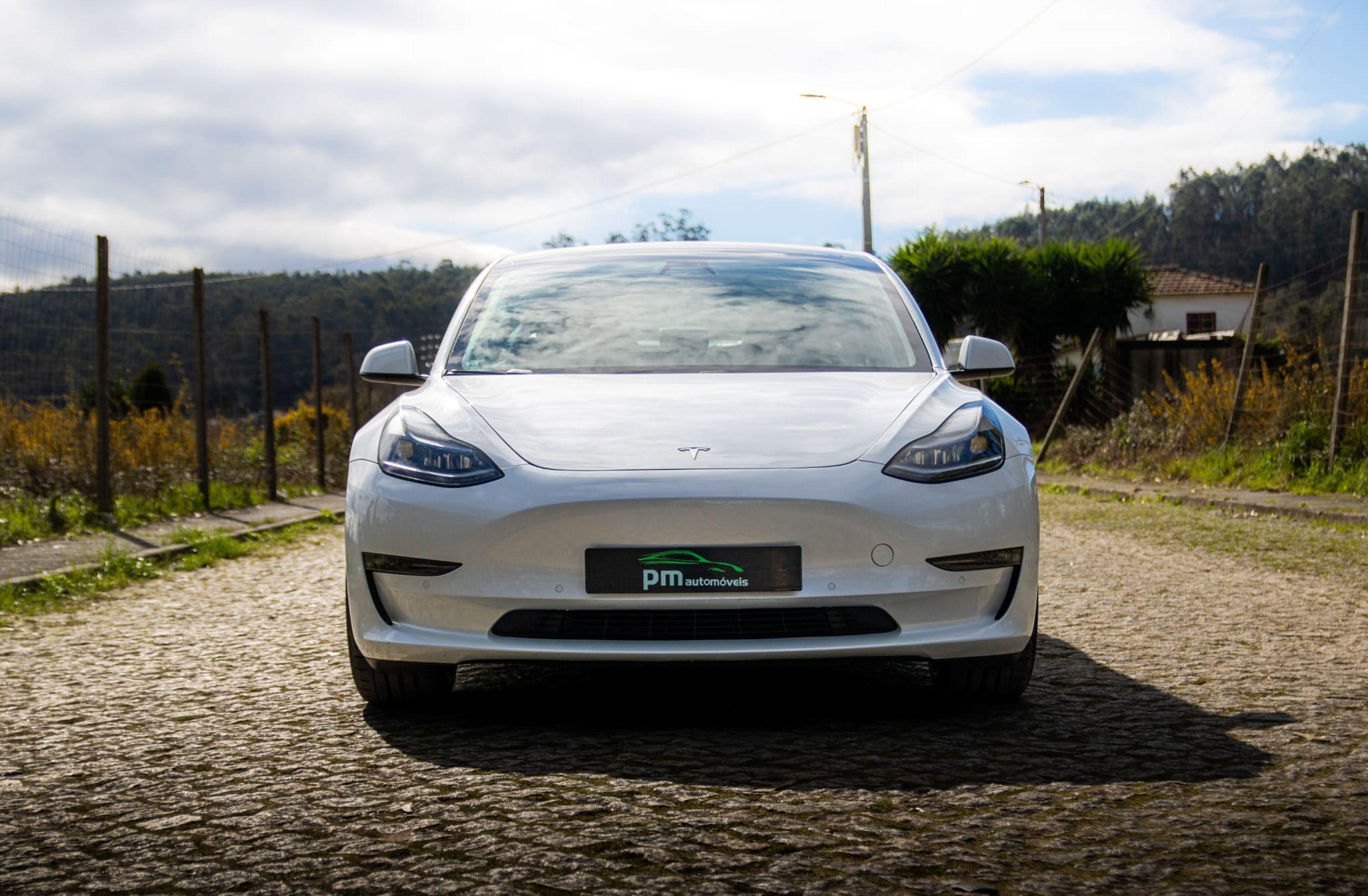 TESLA Model 3 Performance Dual Motor AWD