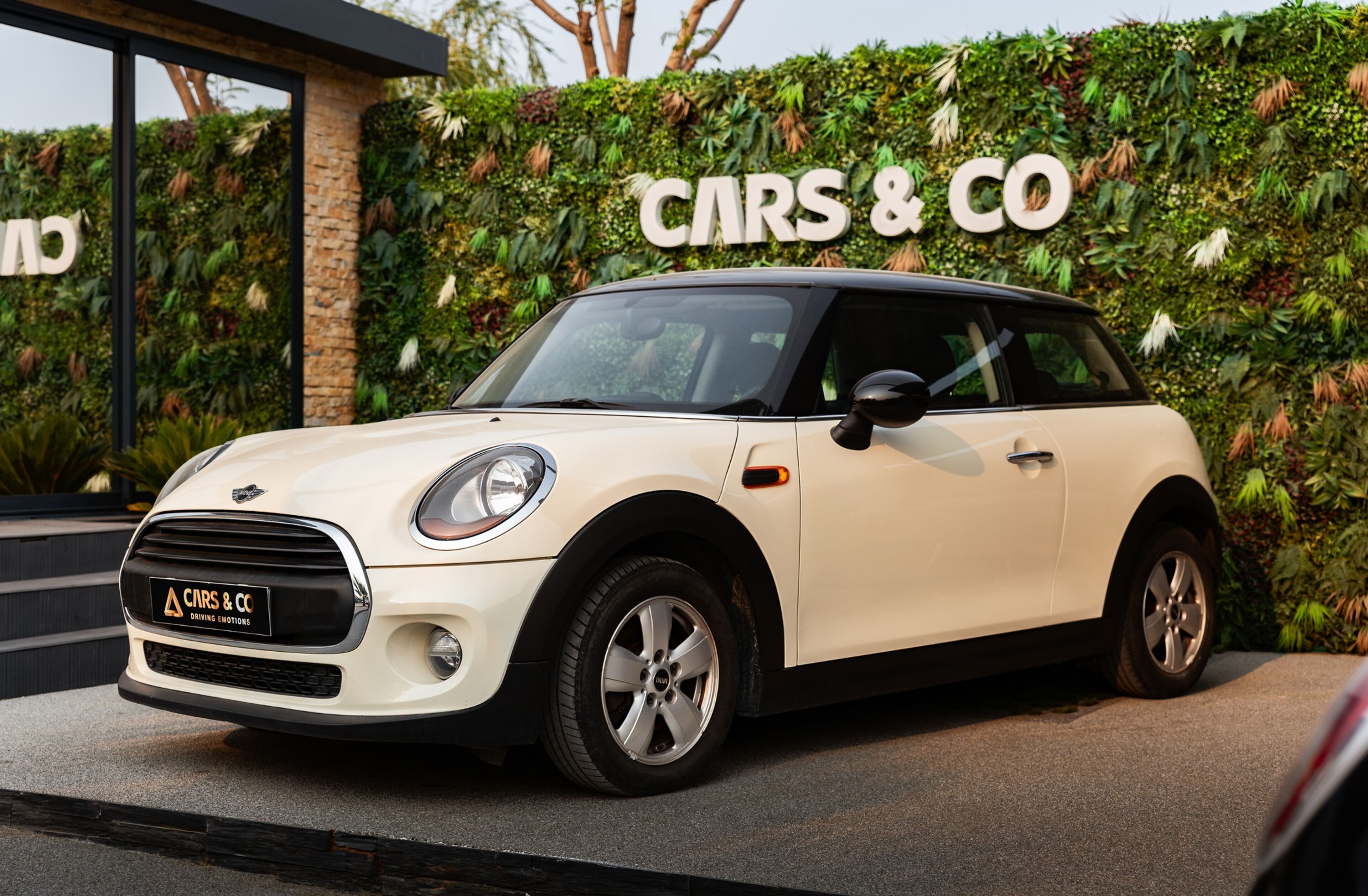 MINI Mini One D
