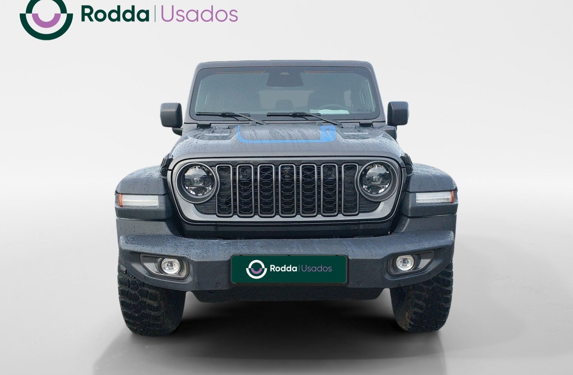 JEEP Wrangler 2.0 TG 4xe Rubicon