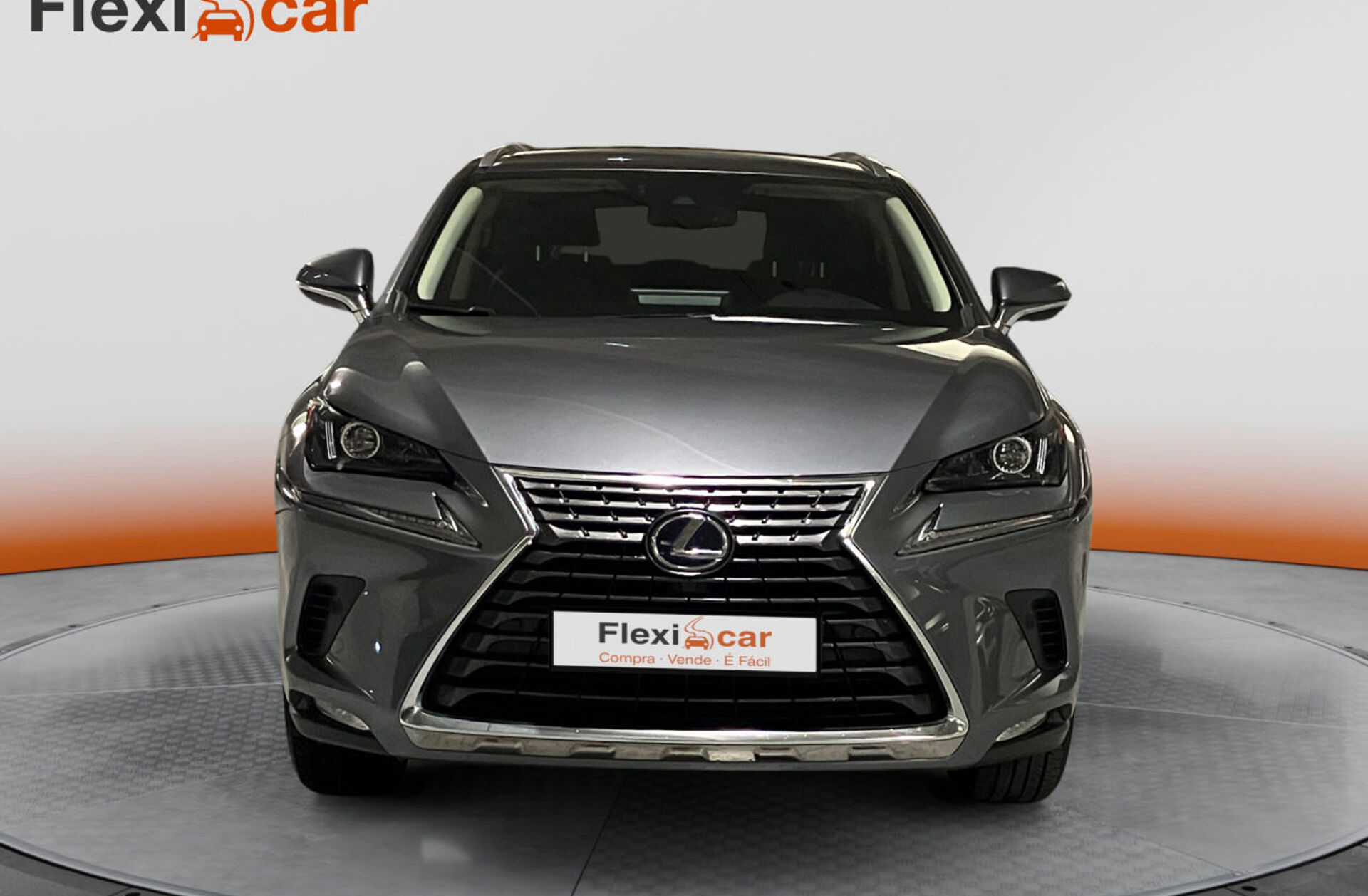 LEXUS NX 300h Executive+
