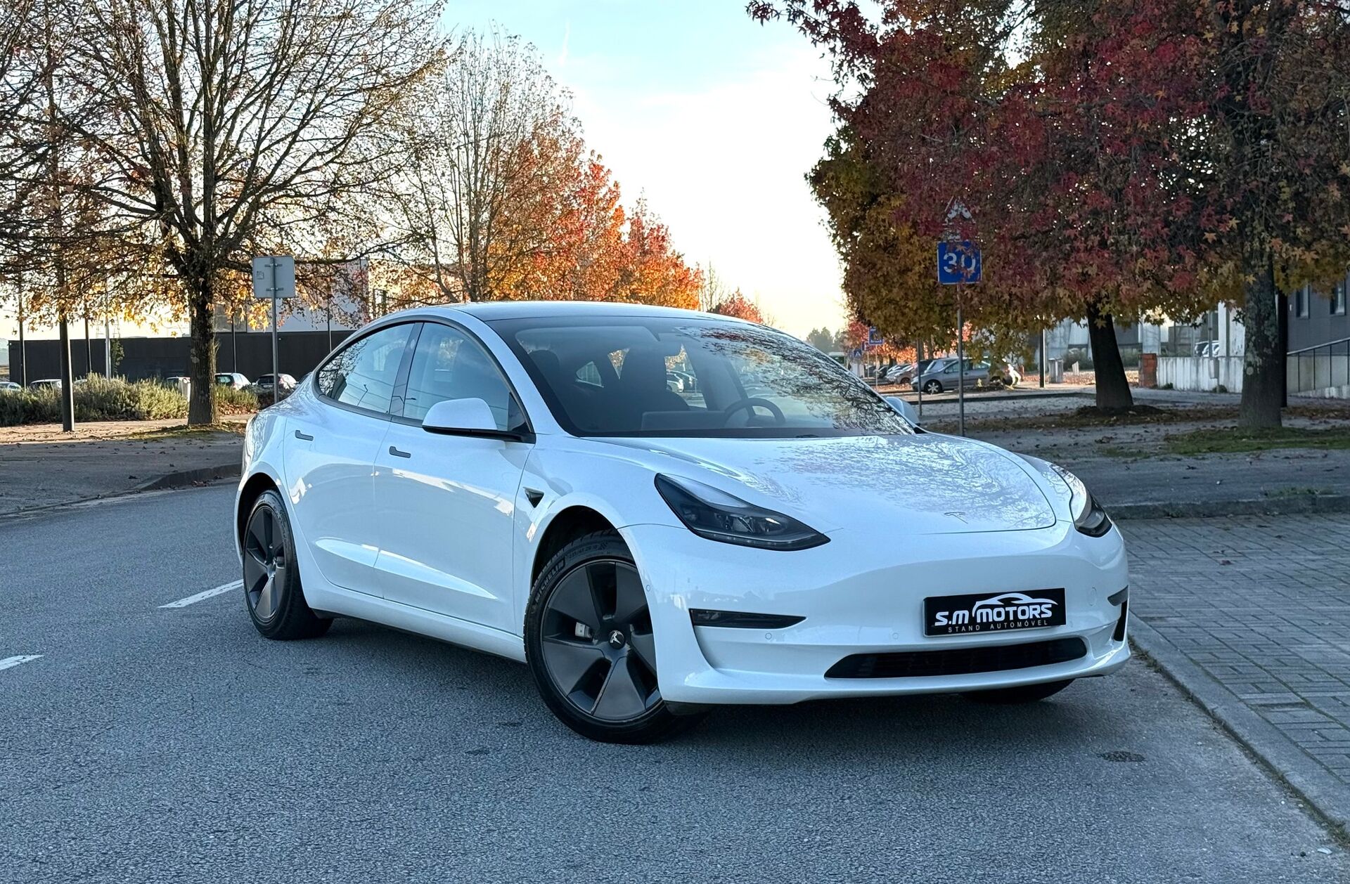 TESLA Model 3 Long-Range Dual Motor AWD
