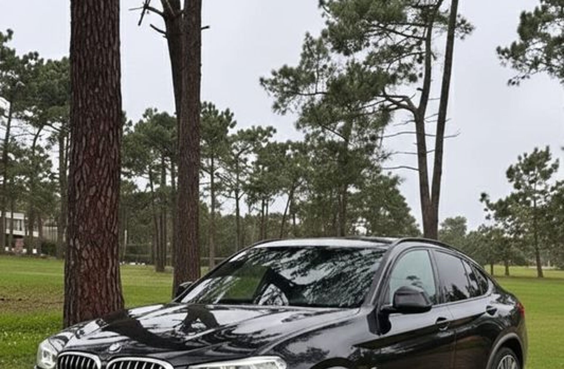 BMW X4 20 d xDrive xLine Auto