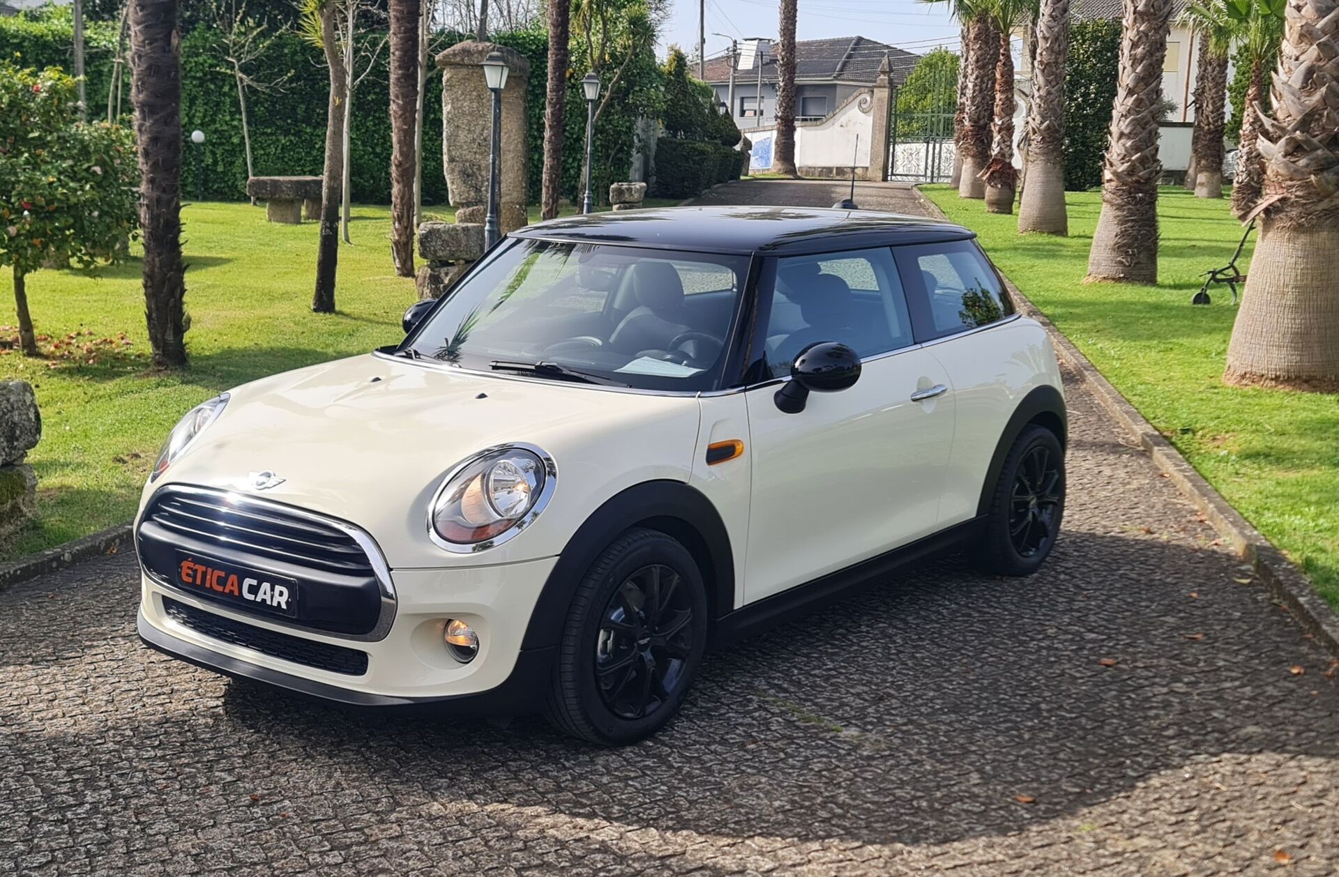 MINI Mini D