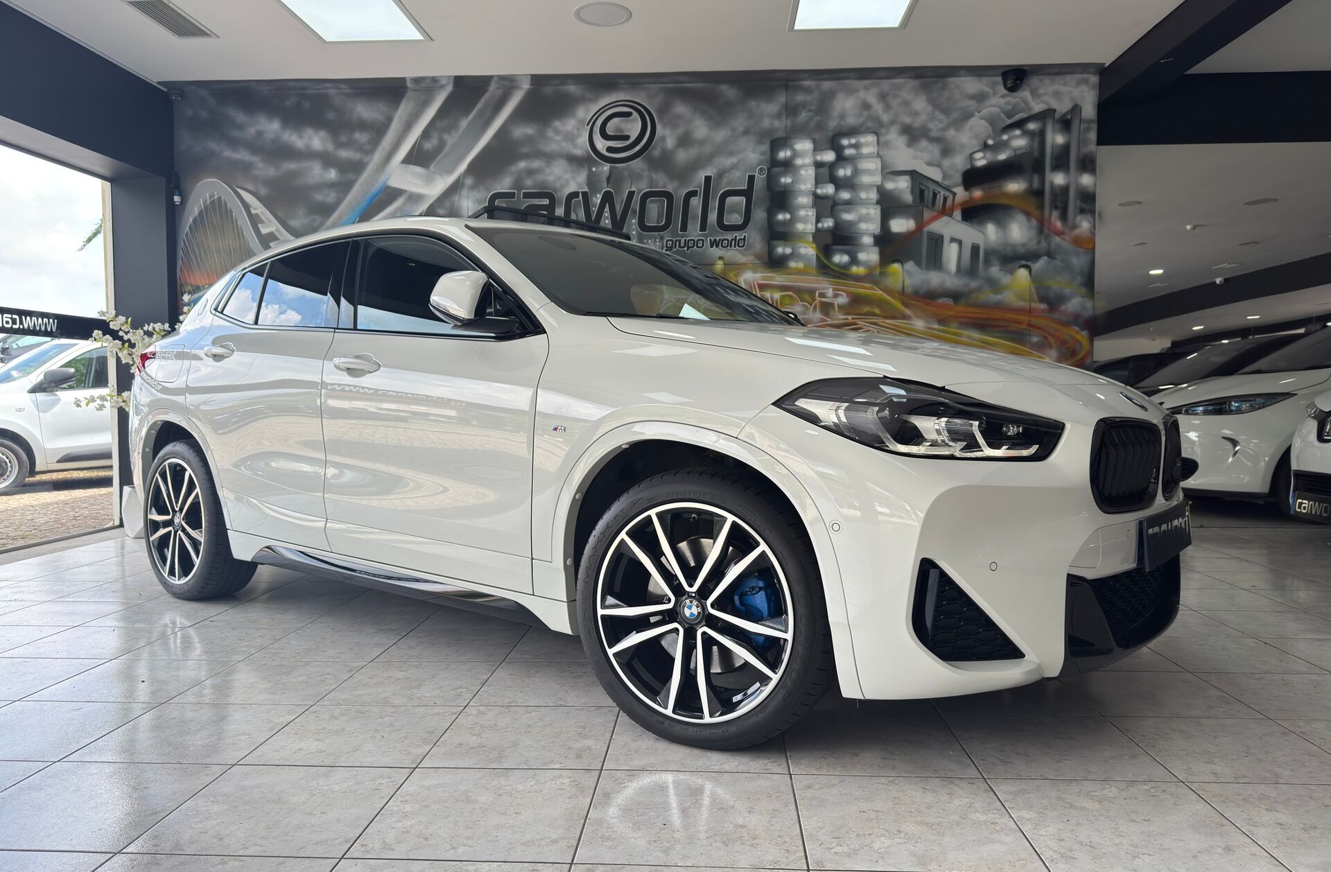 BMW X2 25 e xDrive Pack M