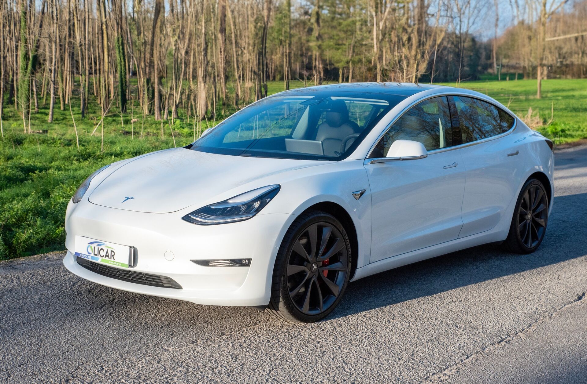 TESLA Model 3 Performance Dual Motor AWD
