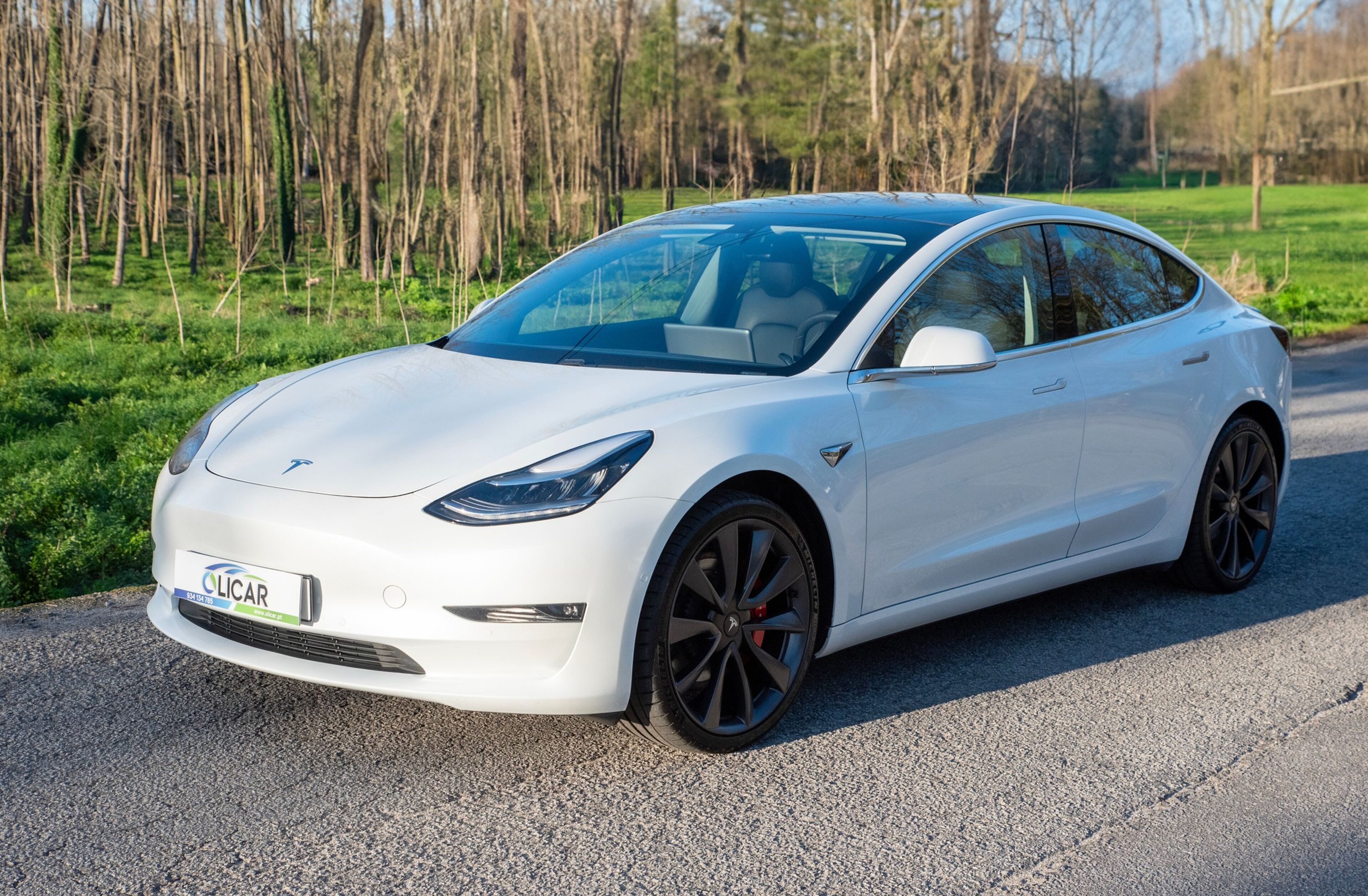TESLA Model 3 Performance Dual Motor AWD