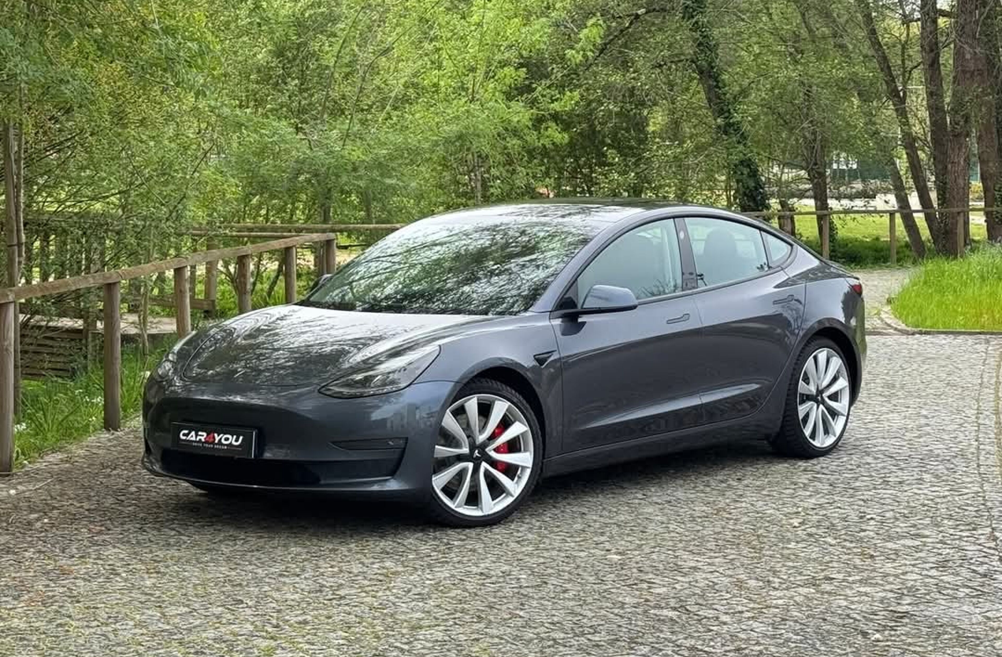TESLA Model 3 Performance Dual Motor AWD